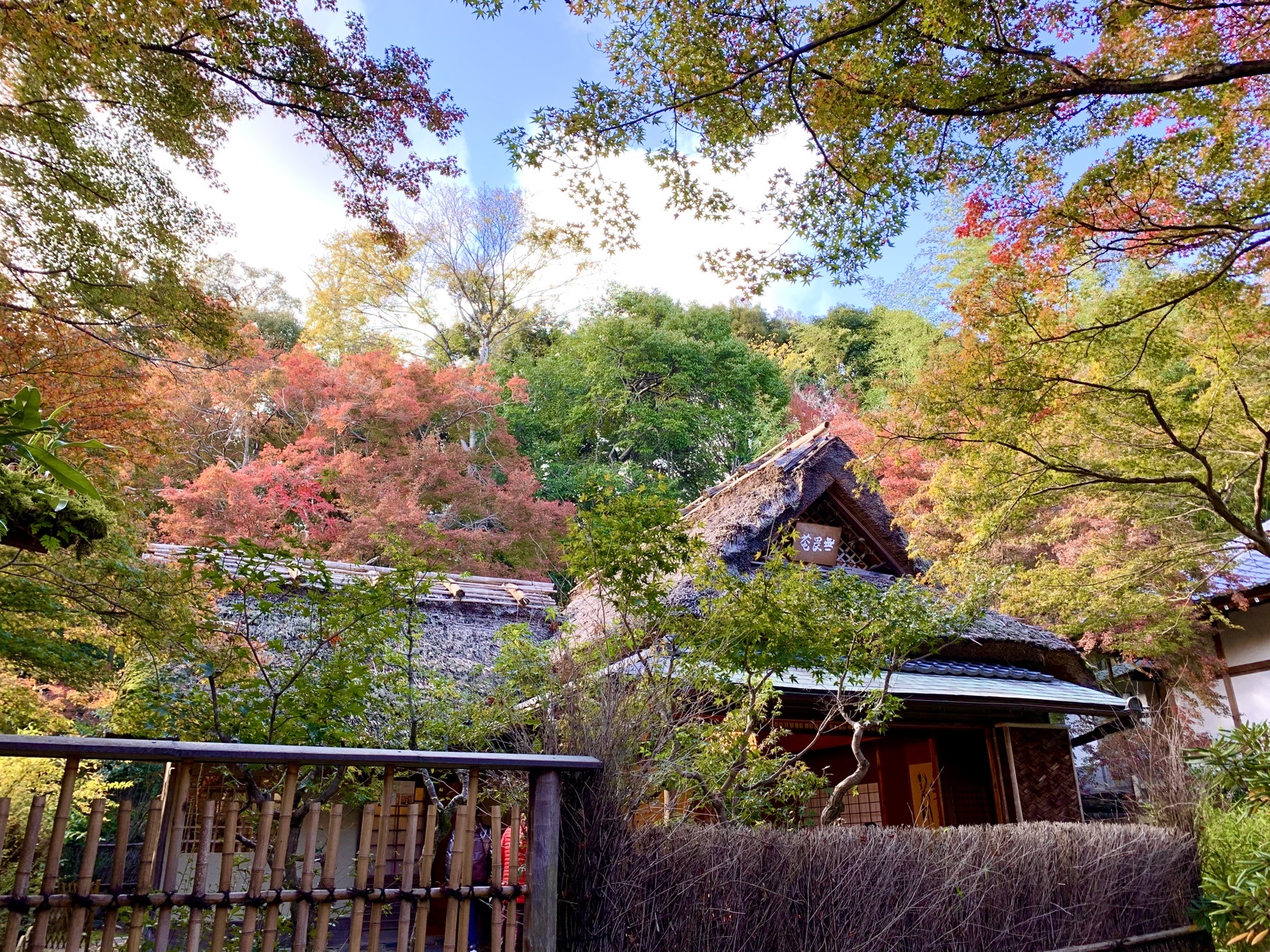 京都自助遊攻略