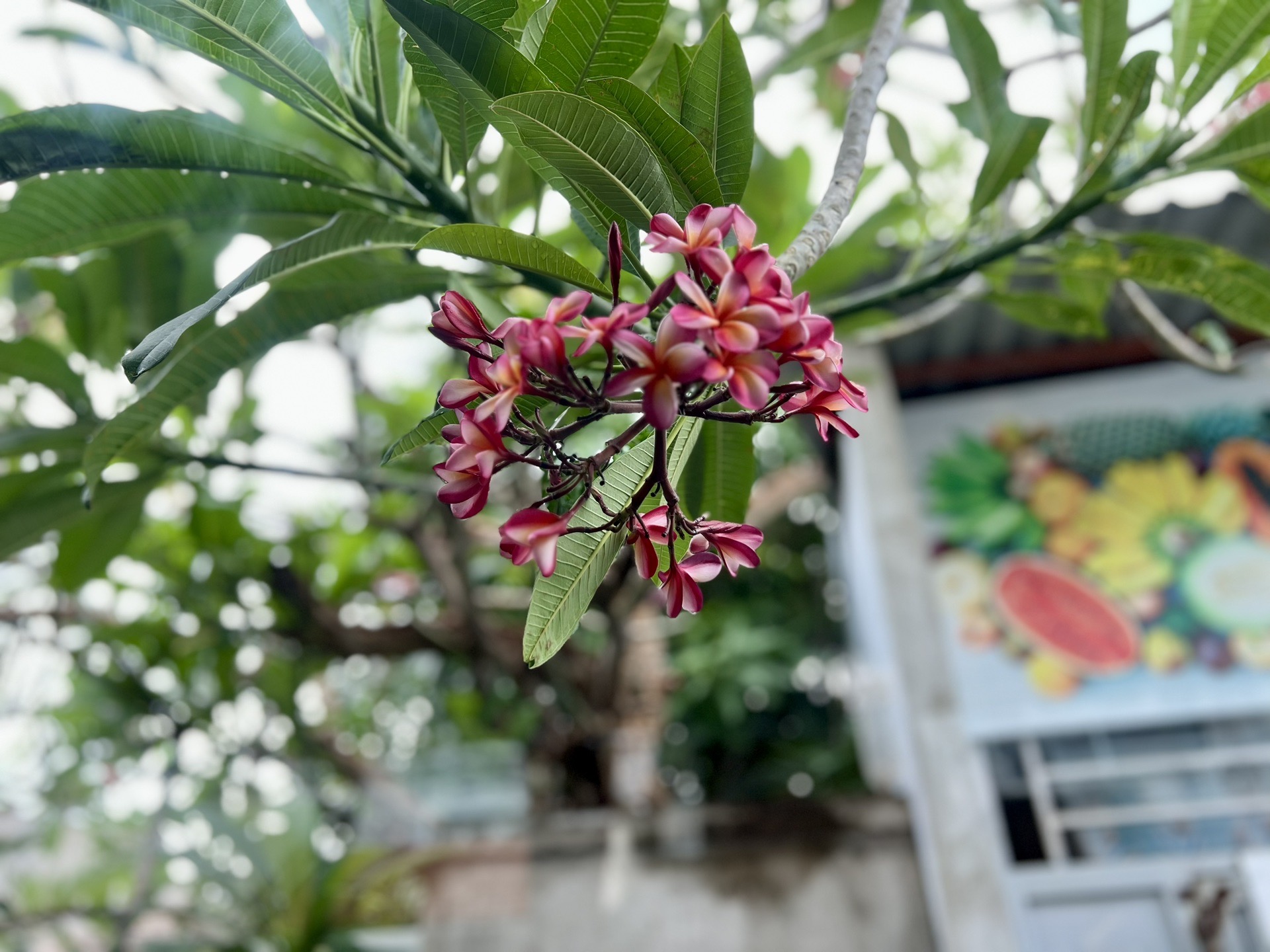 芽莊自助遊攻略