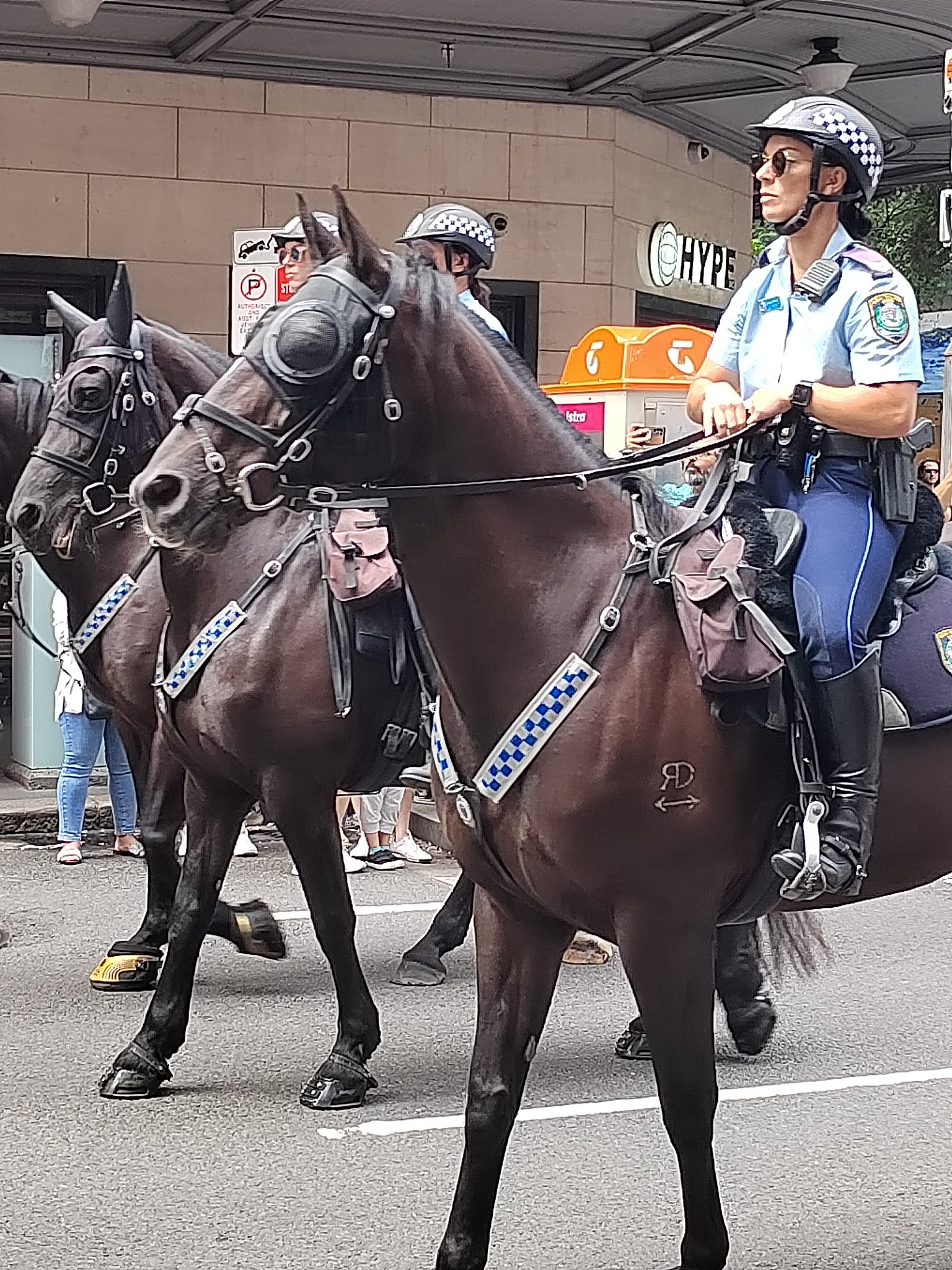 悉尼自助遊攻略