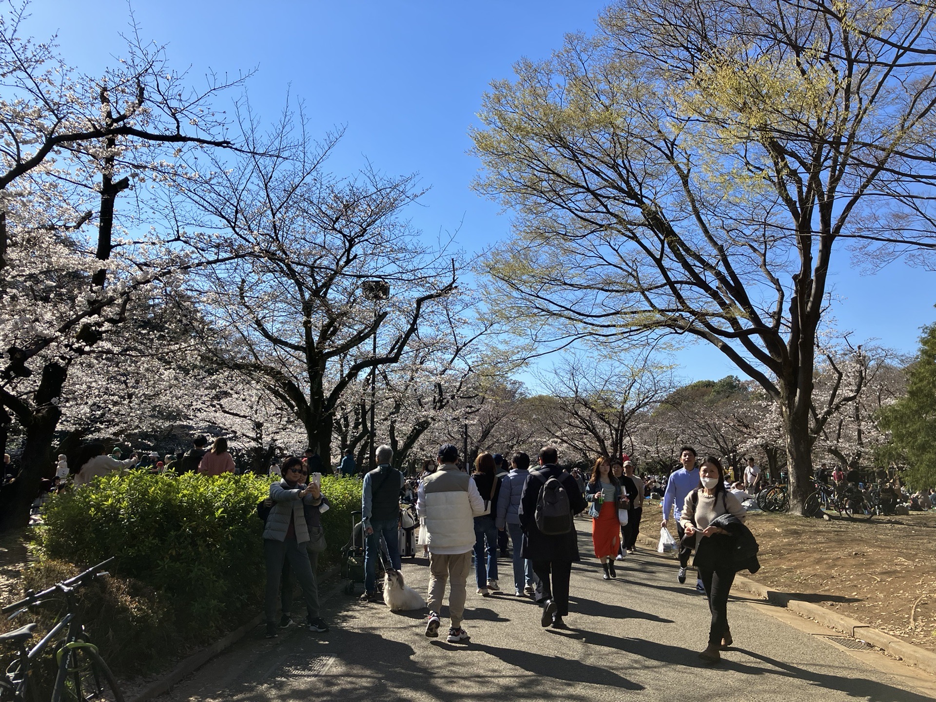 東京自助遊攻略