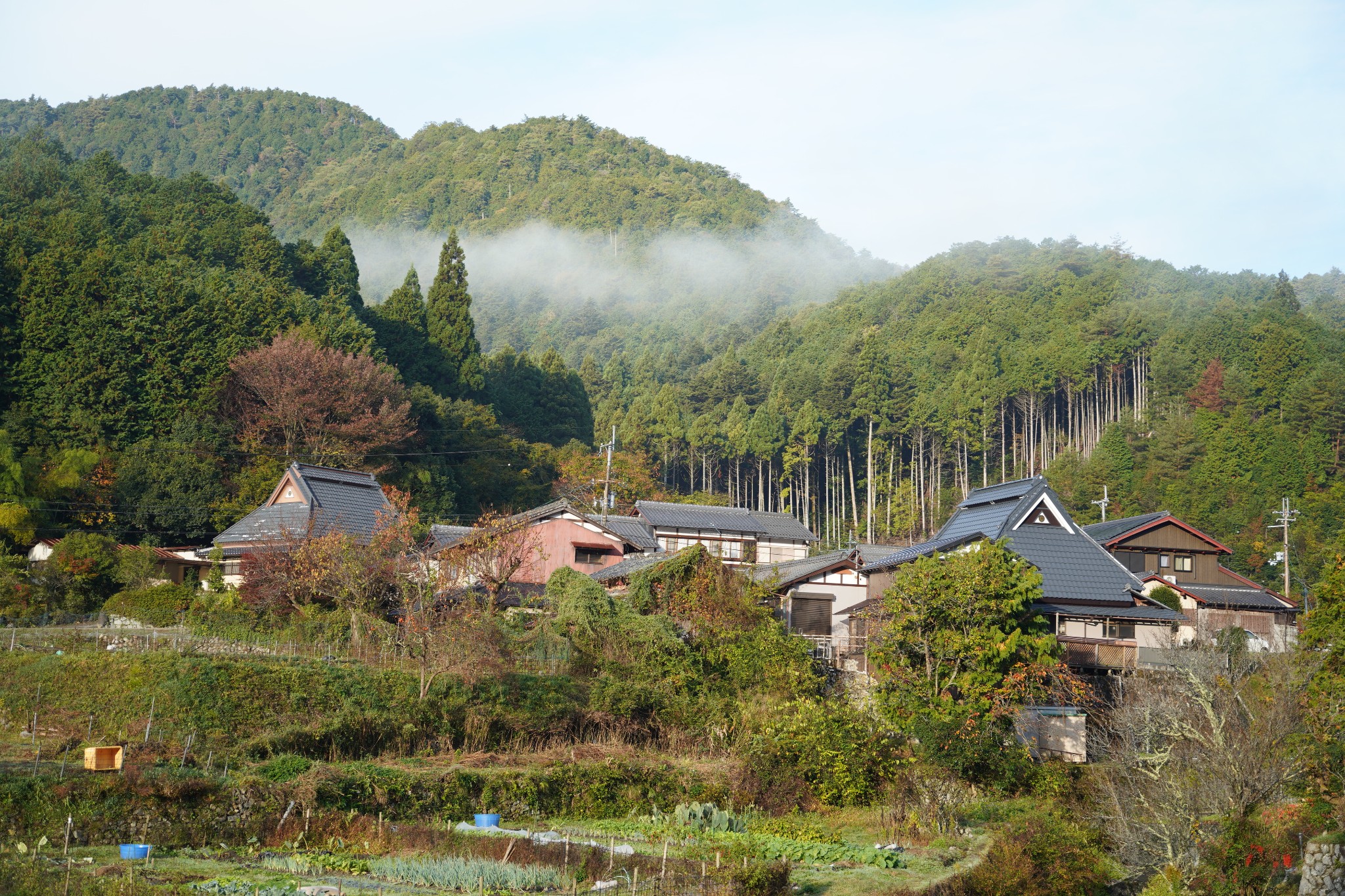 京都自助遊攻略