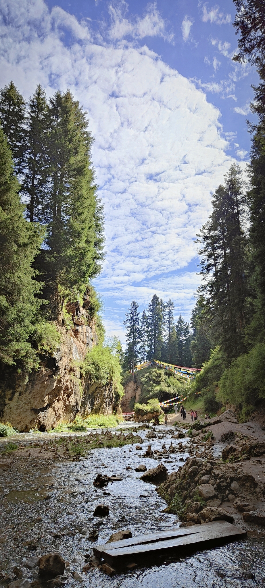 郎木寺纳摩大峡谷图片