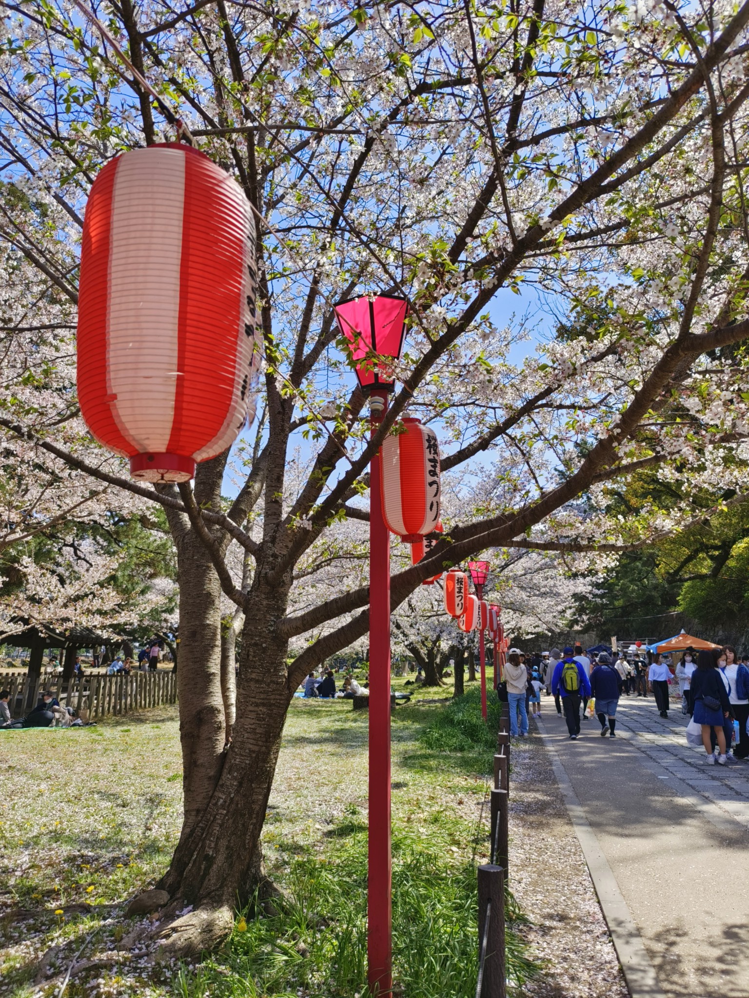 日本自助遊攻略