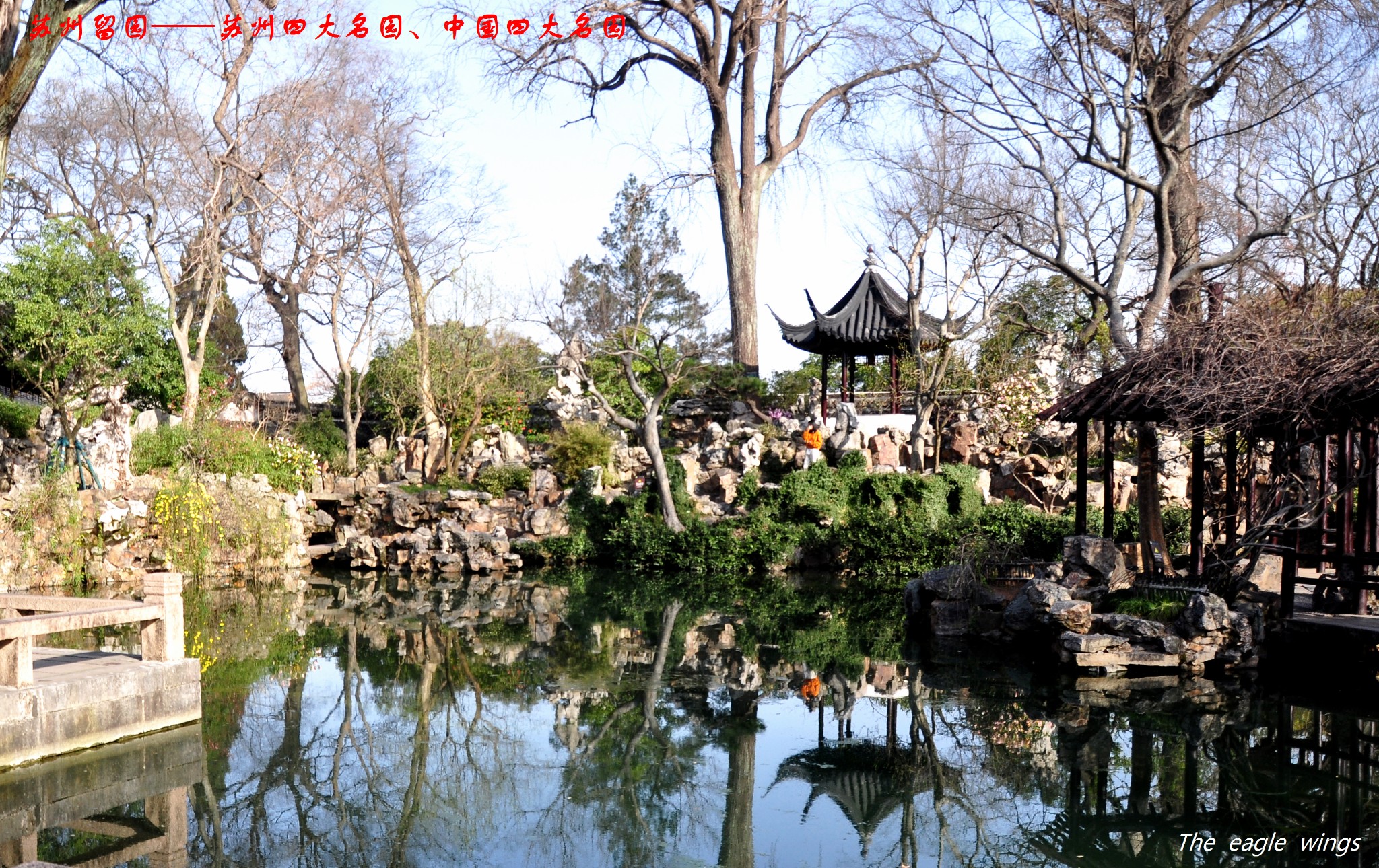 2024年烟花三月下江南——参观苏州四大名园,中国四大名园之一 61