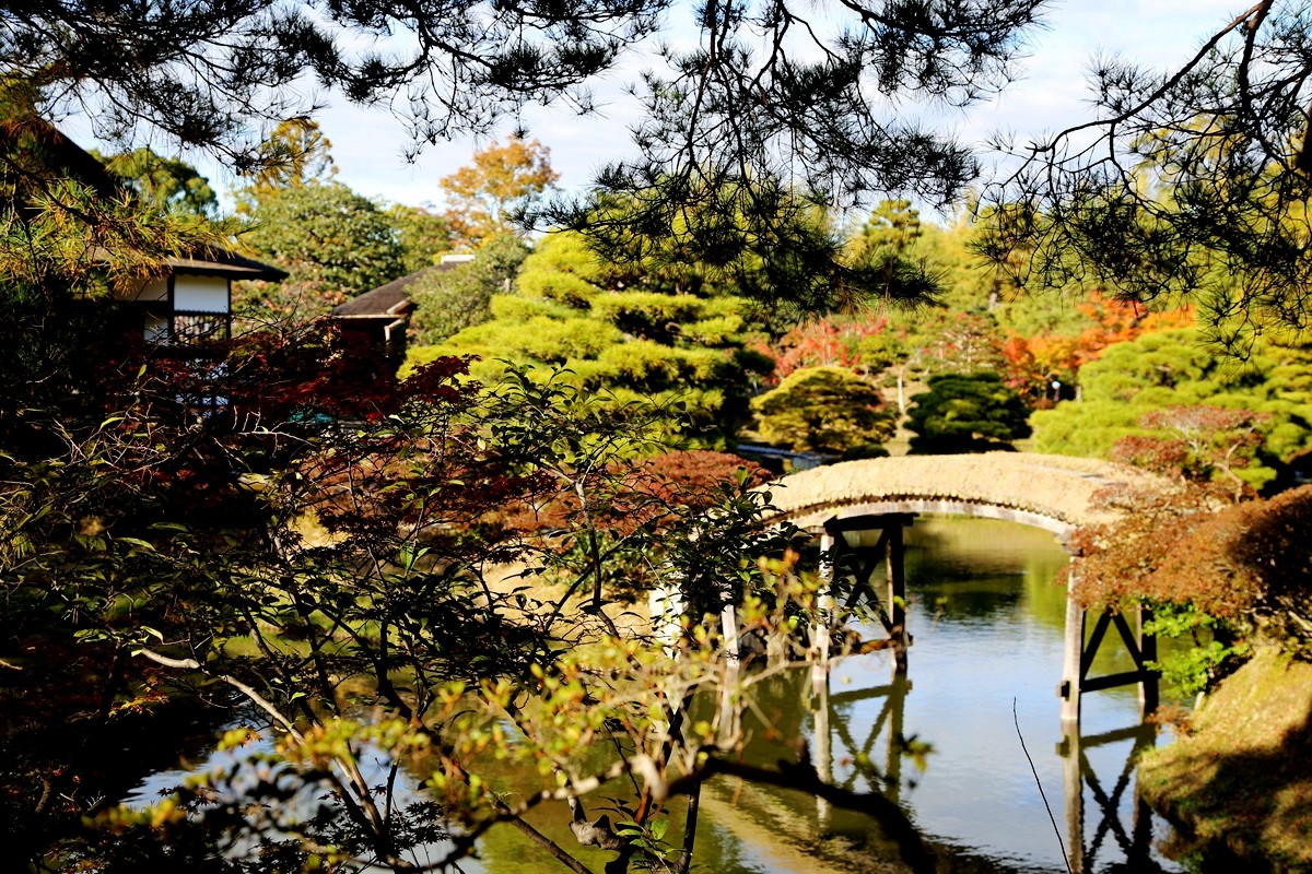 京都自助遊攻略