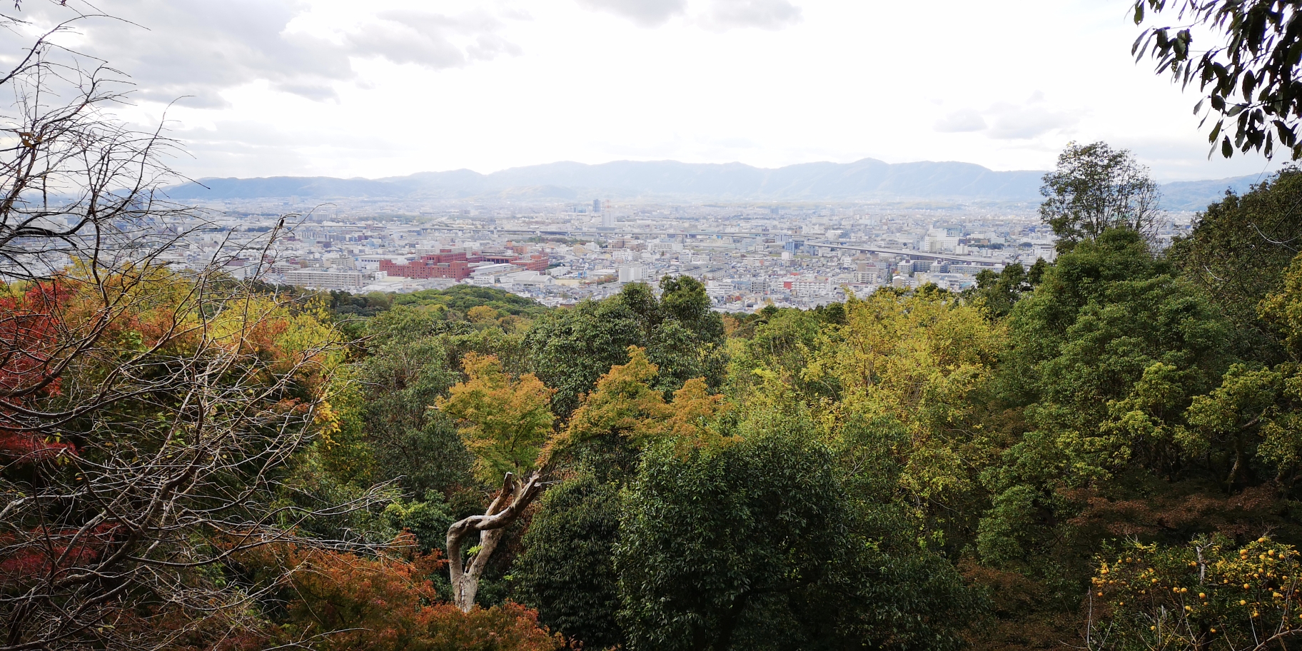 京都自助遊攻略