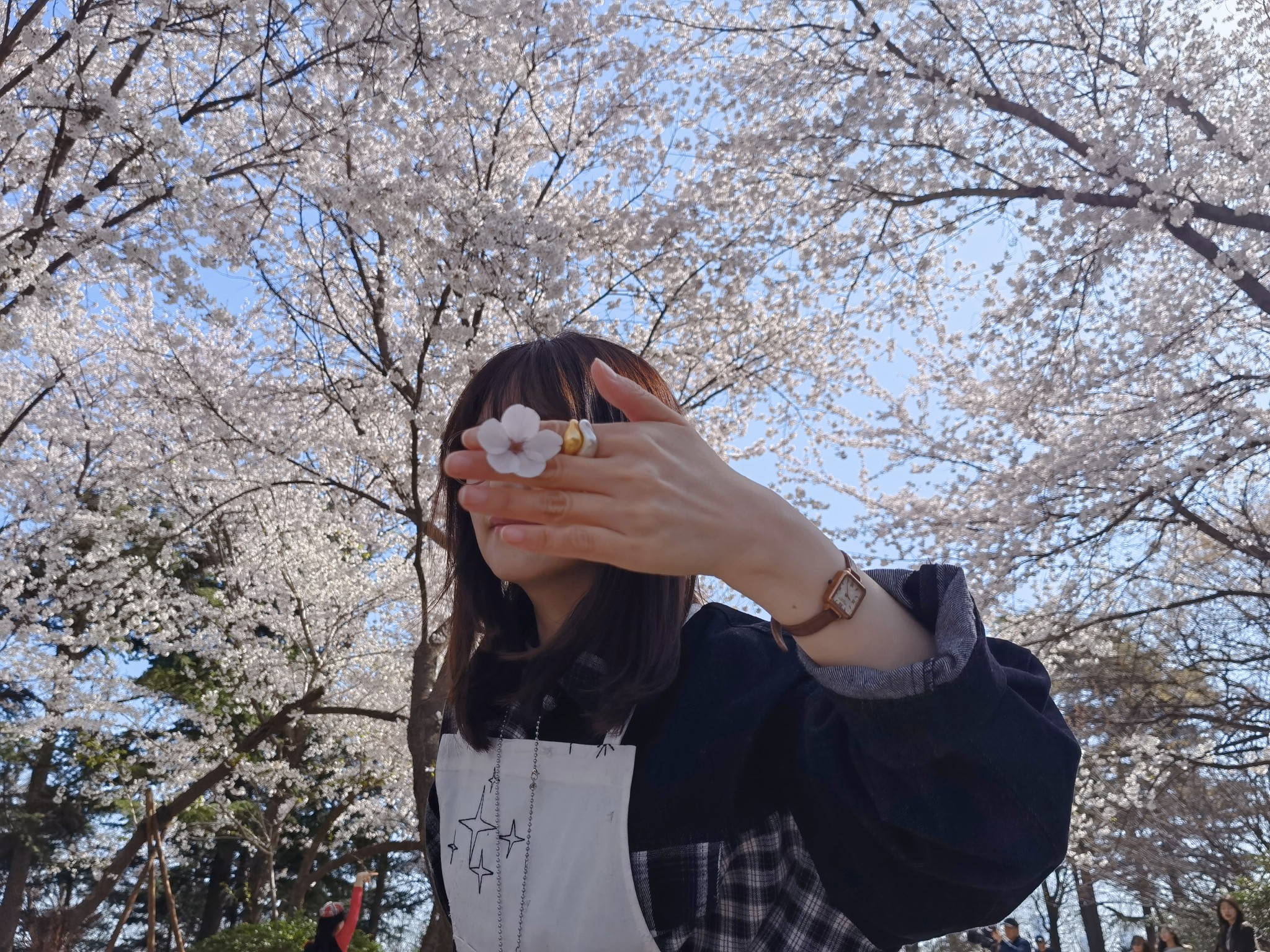 【青岛春日暴走日志】四天三夜：💨吹成海带的我们，与樱花撞个满怀🌸插图189