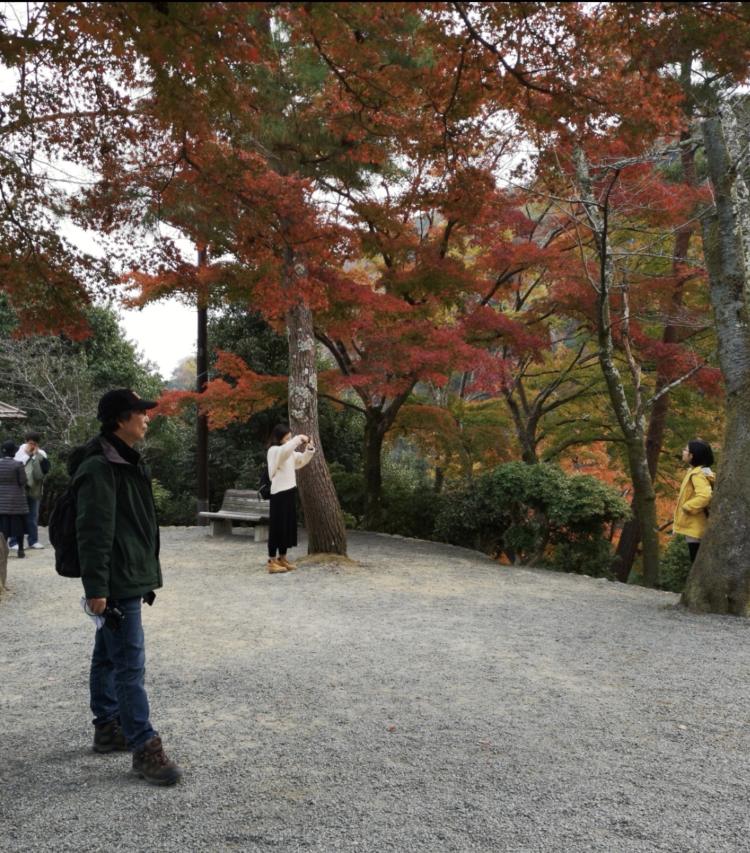 京都自助遊攻略