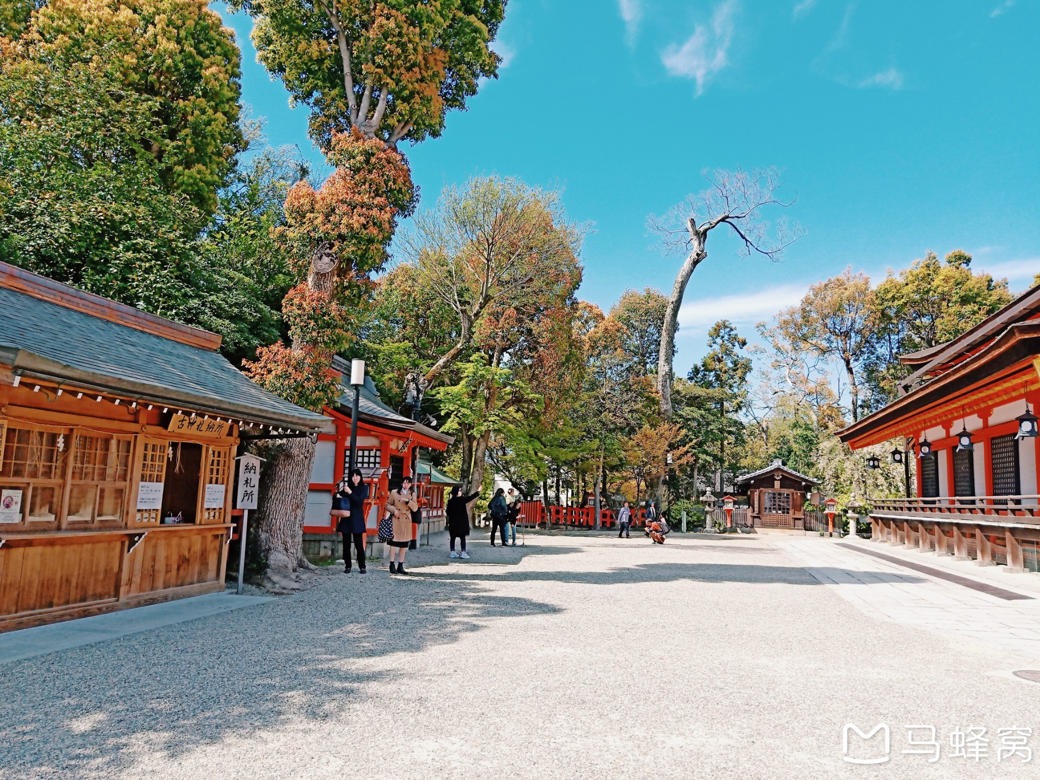 京都自助遊攻略