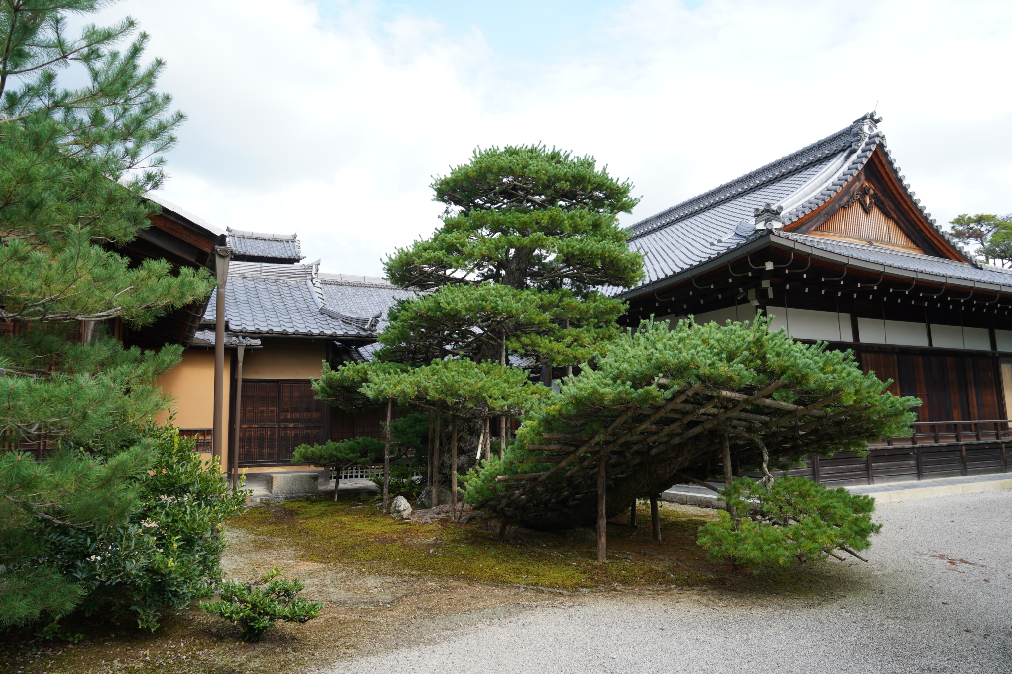 享誉世界,日本最著名枯山水园林高山寺:抹茶源头,藏有日本最古老漫画