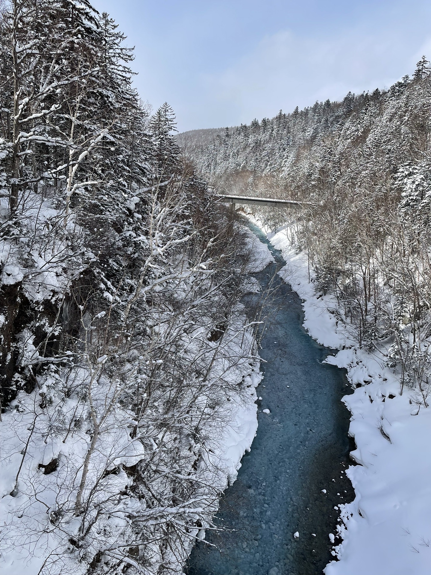 北海道自助遊攻略