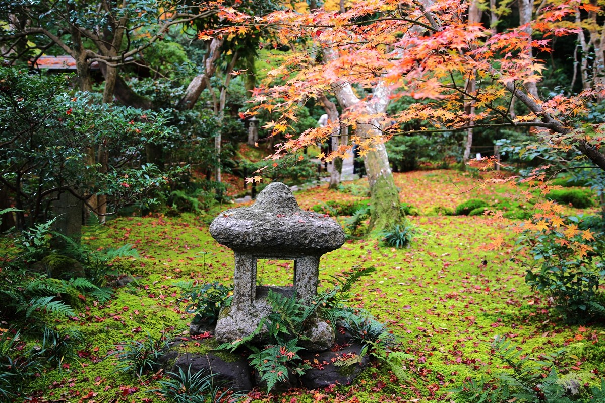 京都自助遊攻略