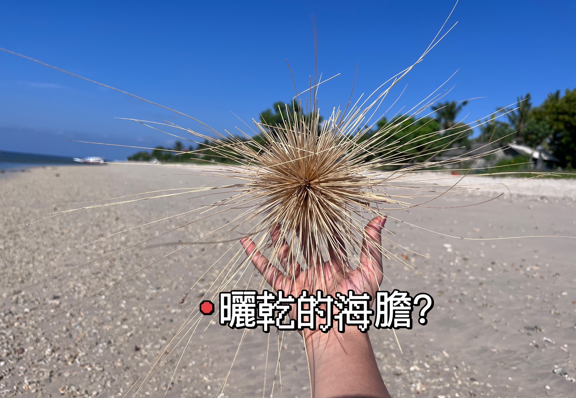 巴釐島自助遊攻略