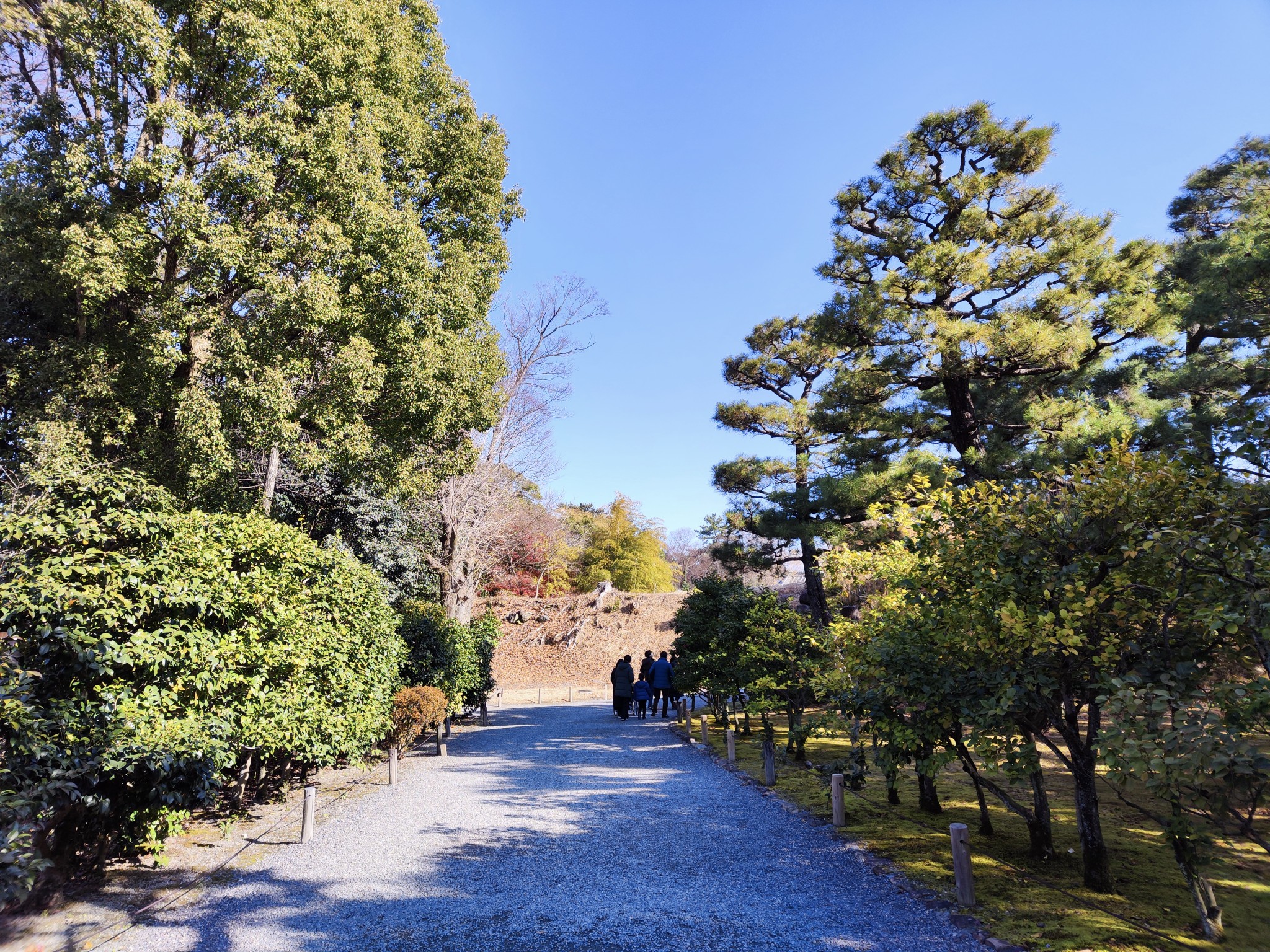 京都自助遊攻略