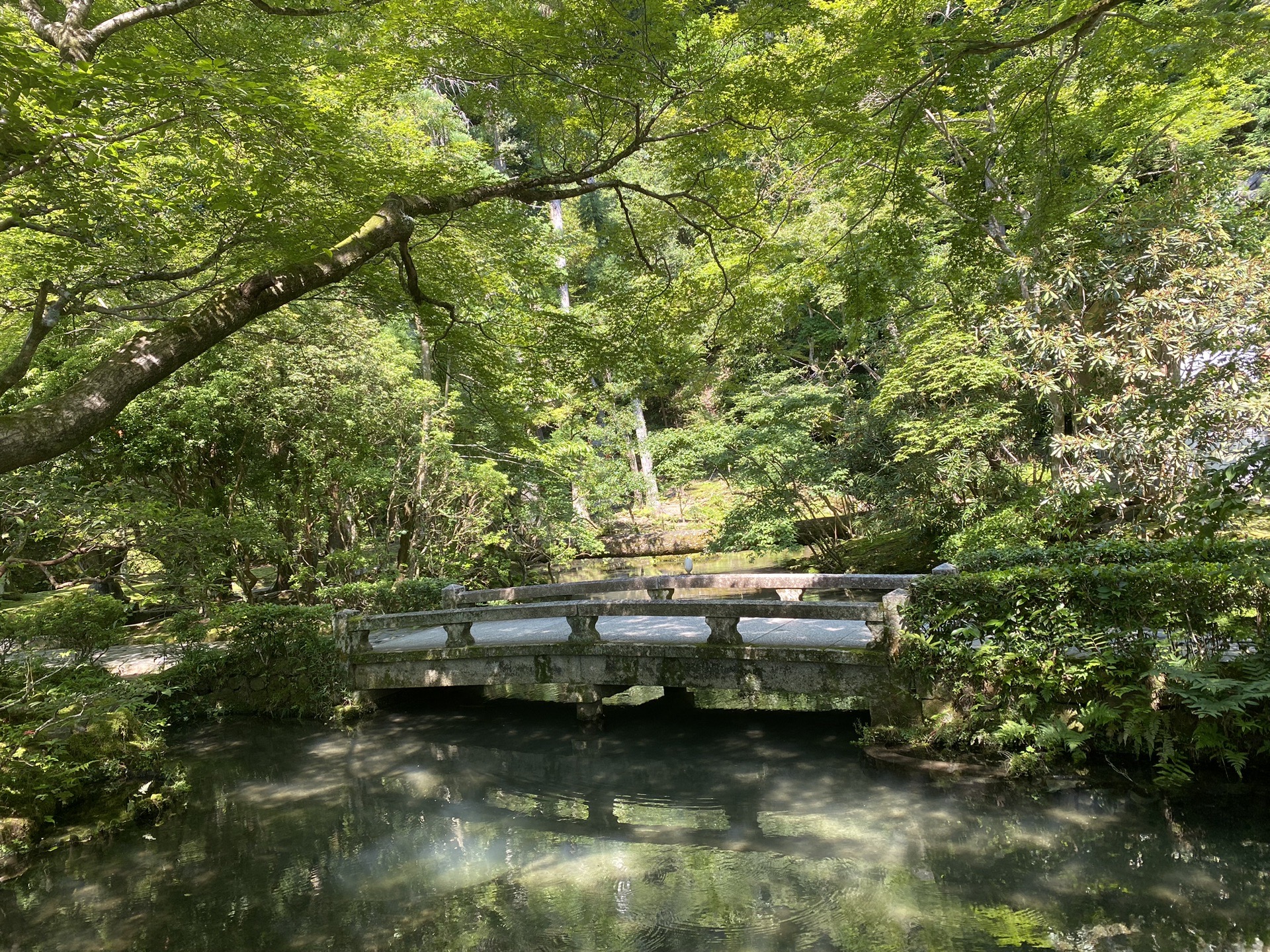 京都自助遊攻略