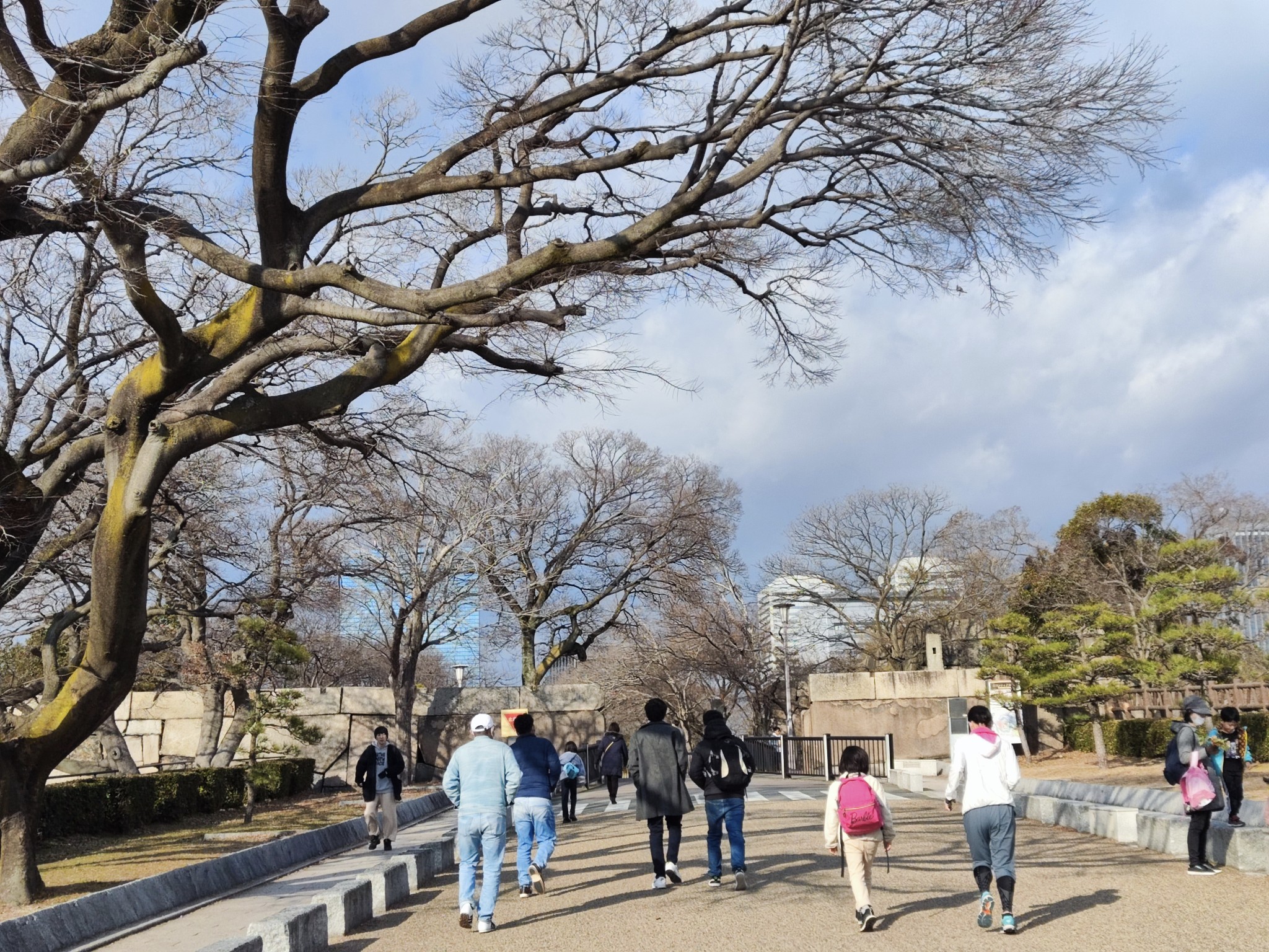 京都自助遊攻略