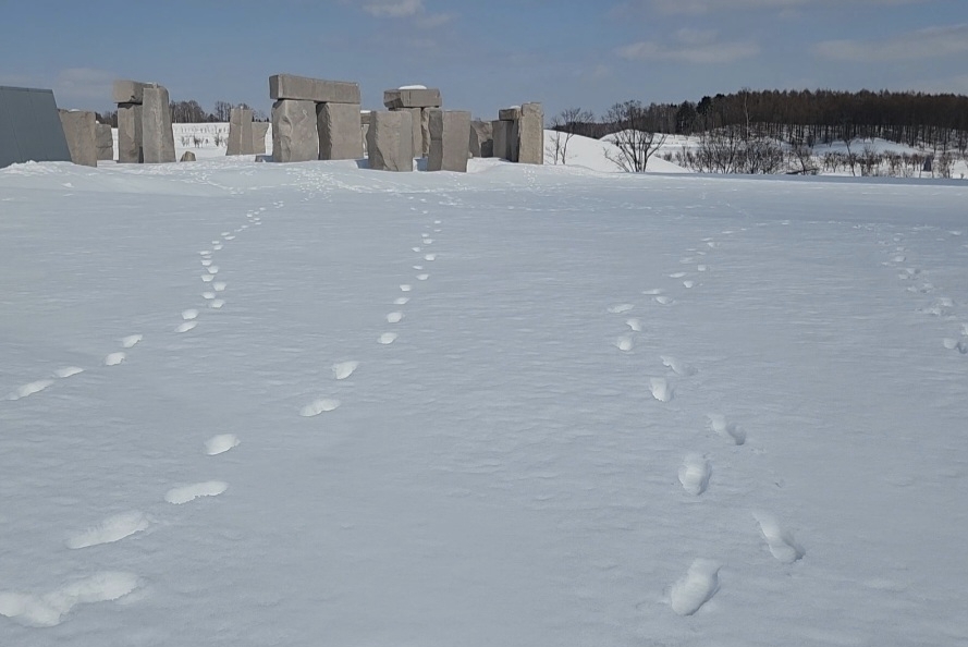 北海道自助遊攻略