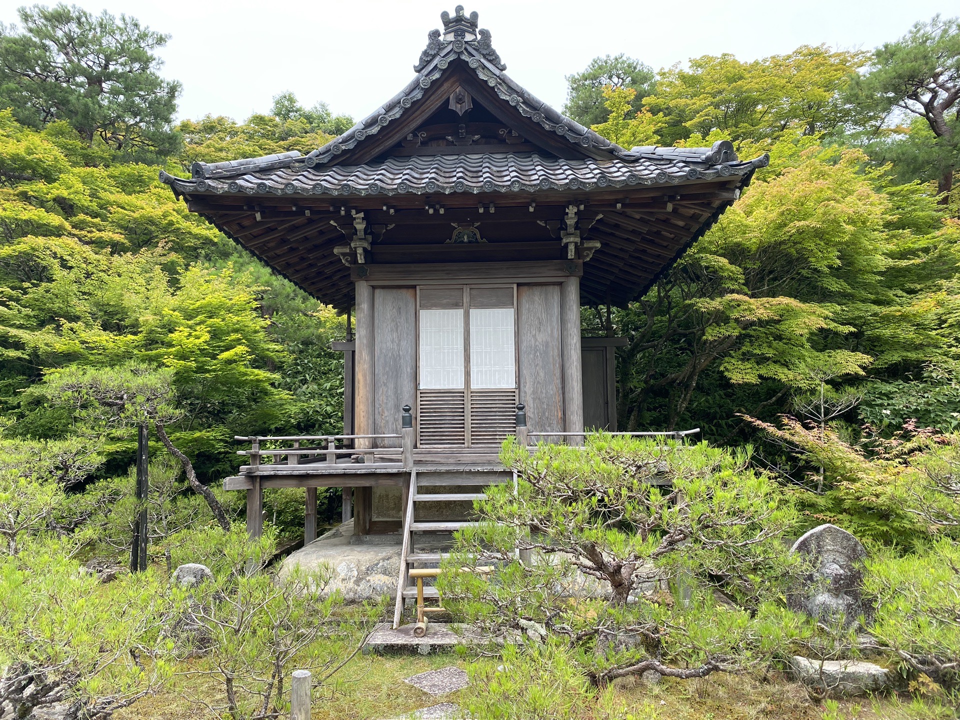 京都自助遊攻略