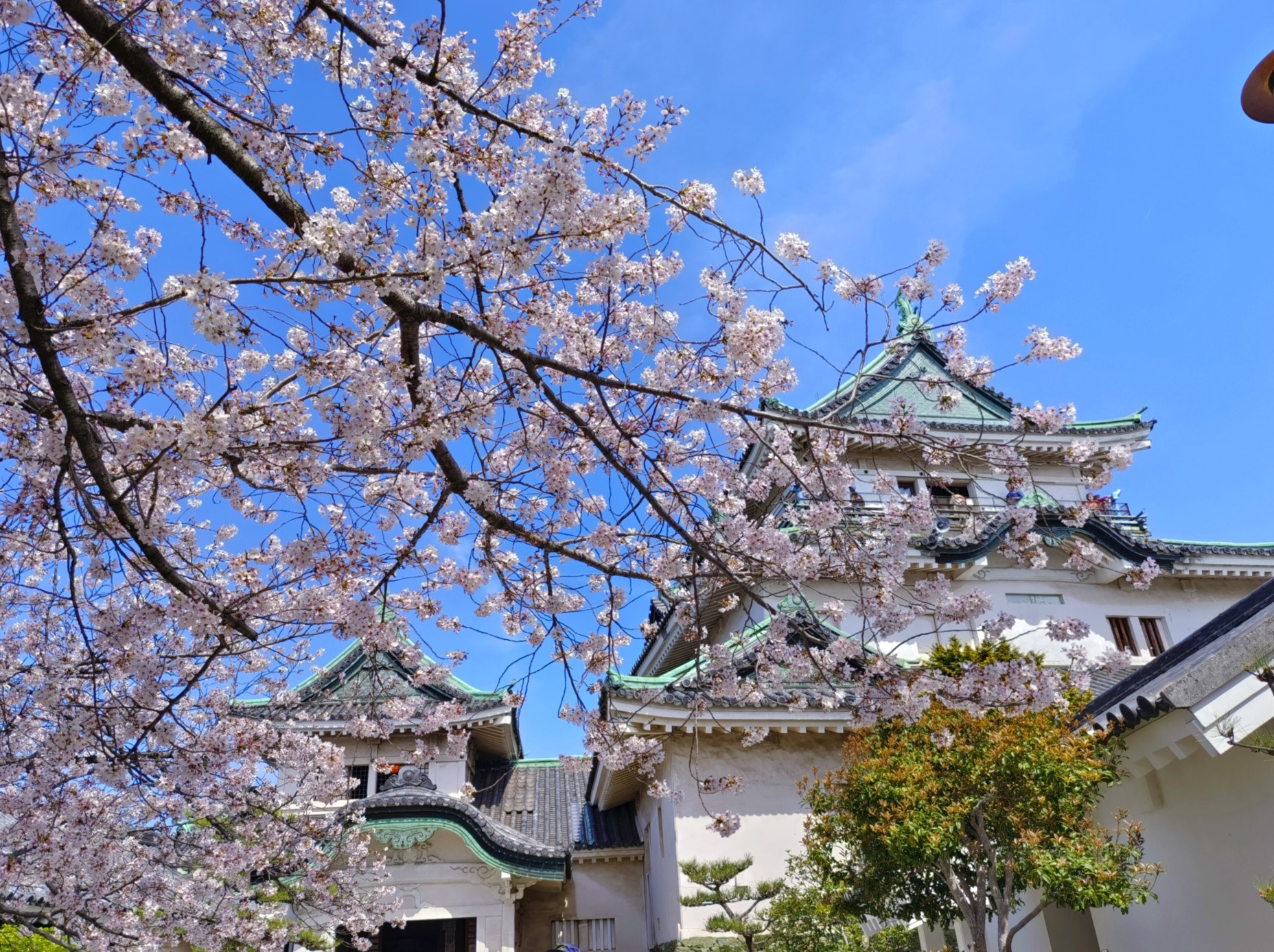 日本自助遊攻略