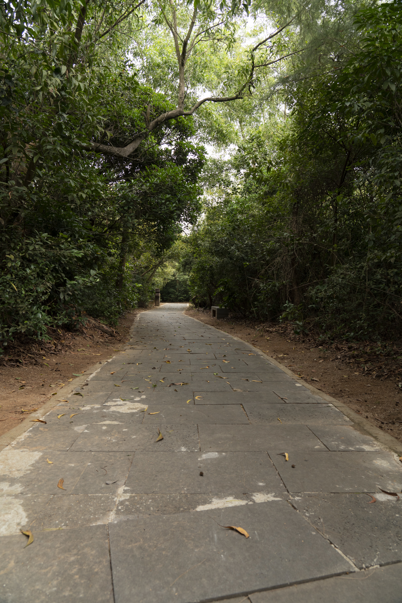 湛江市霞山区公园