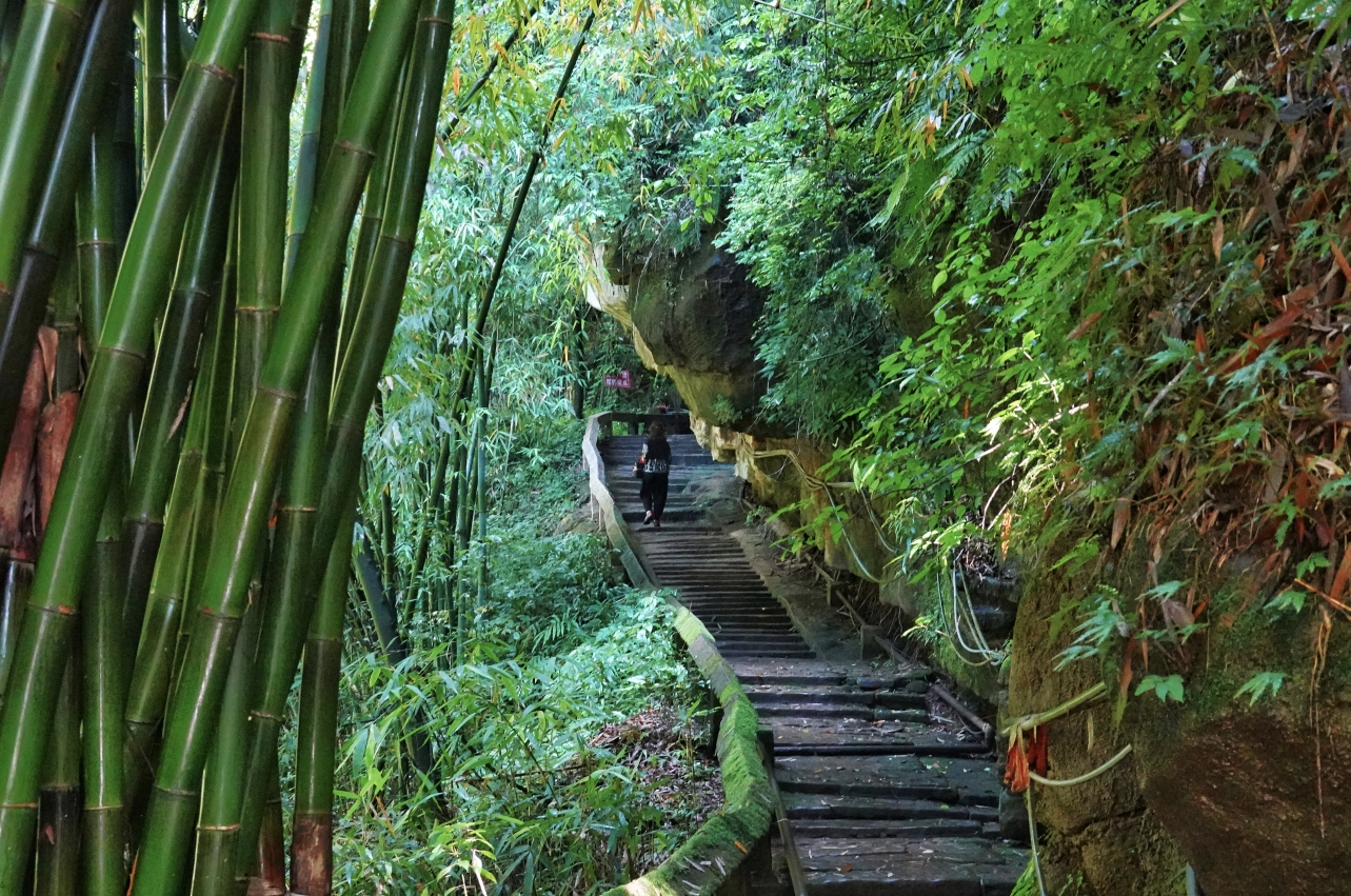 《转山会》成都邛崃金华山徒步,成都旅游攻略 - 马蜂窝
