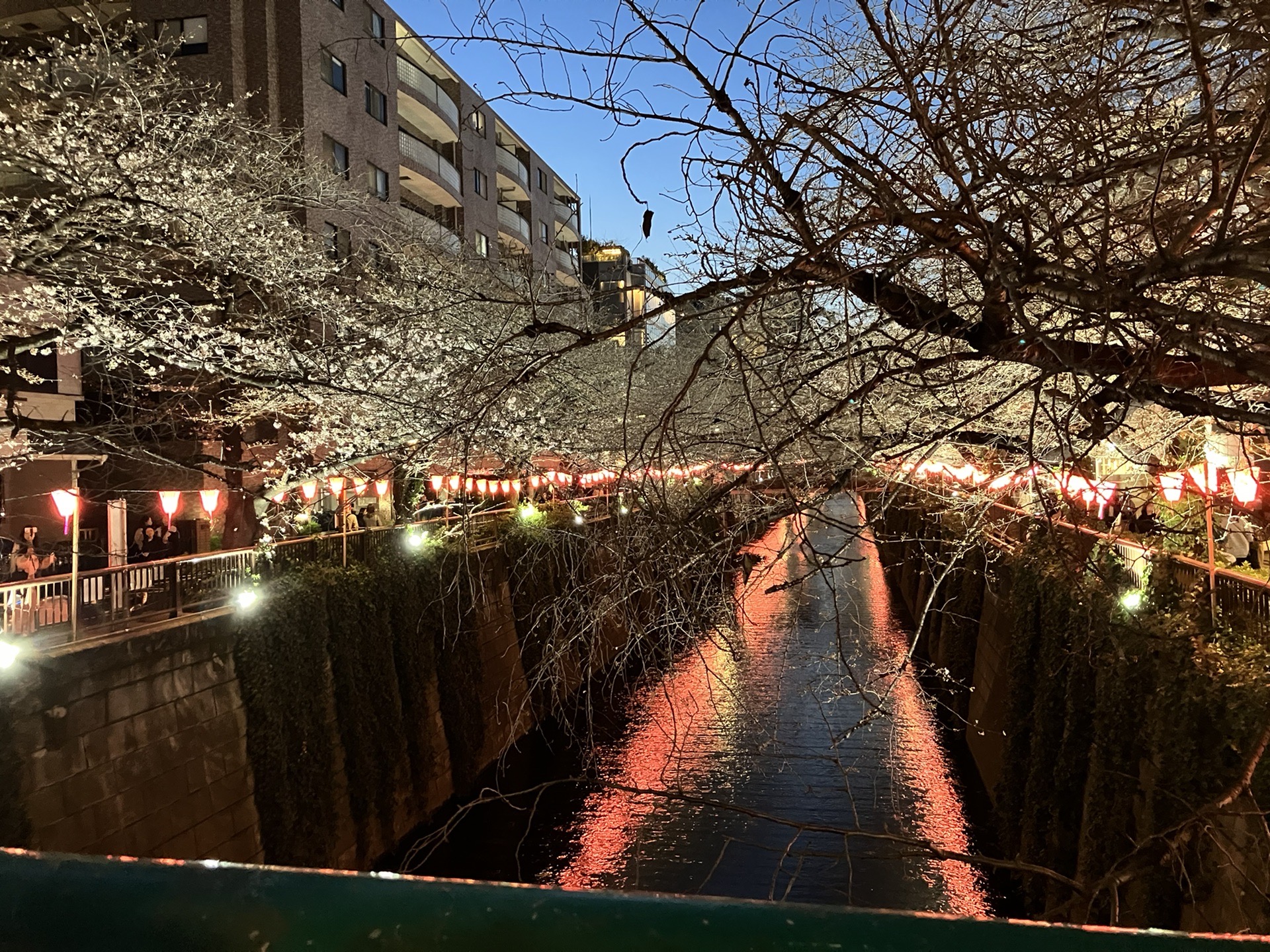 東京自助遊攻略