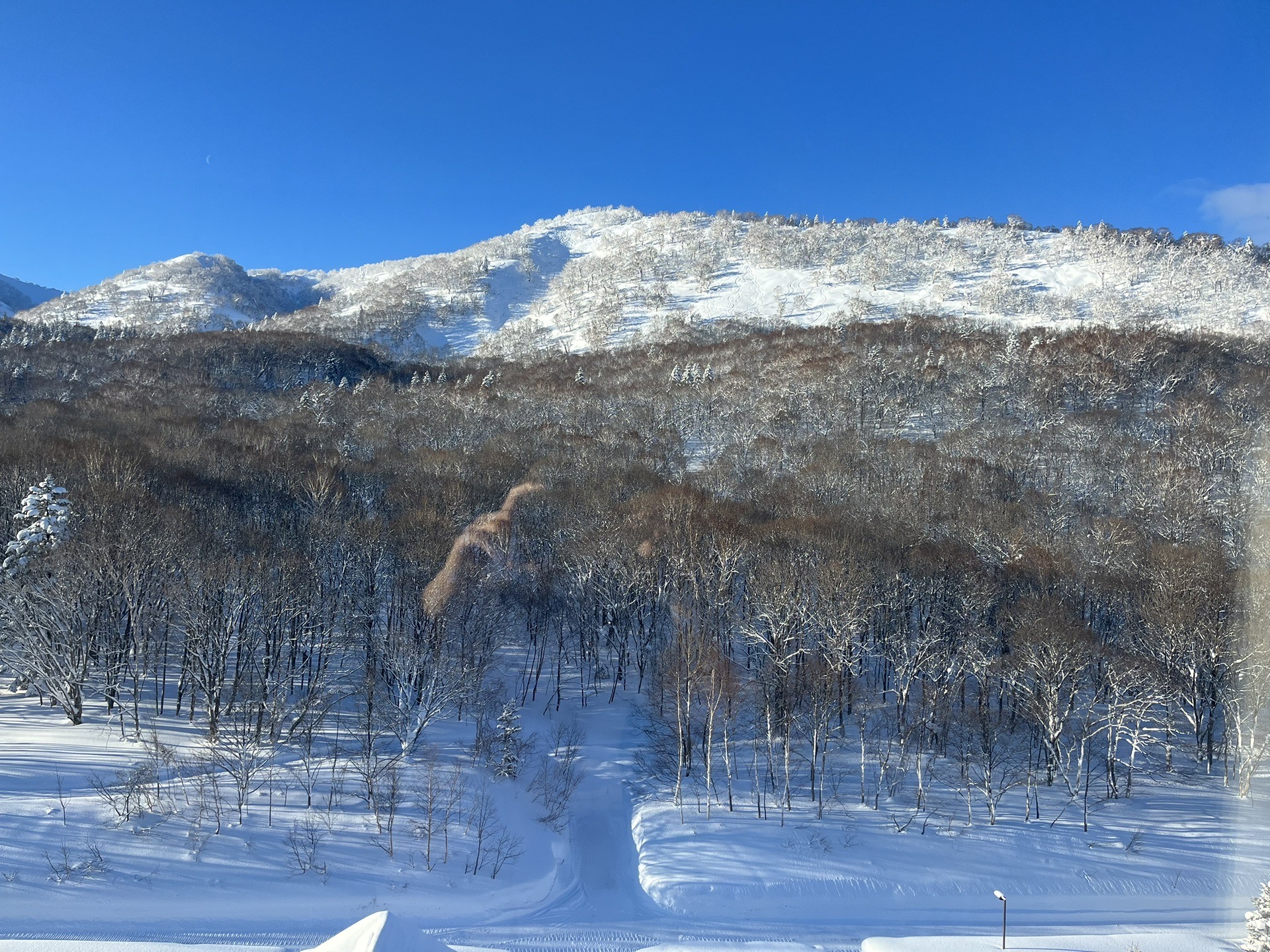 北海道自助遊攻略