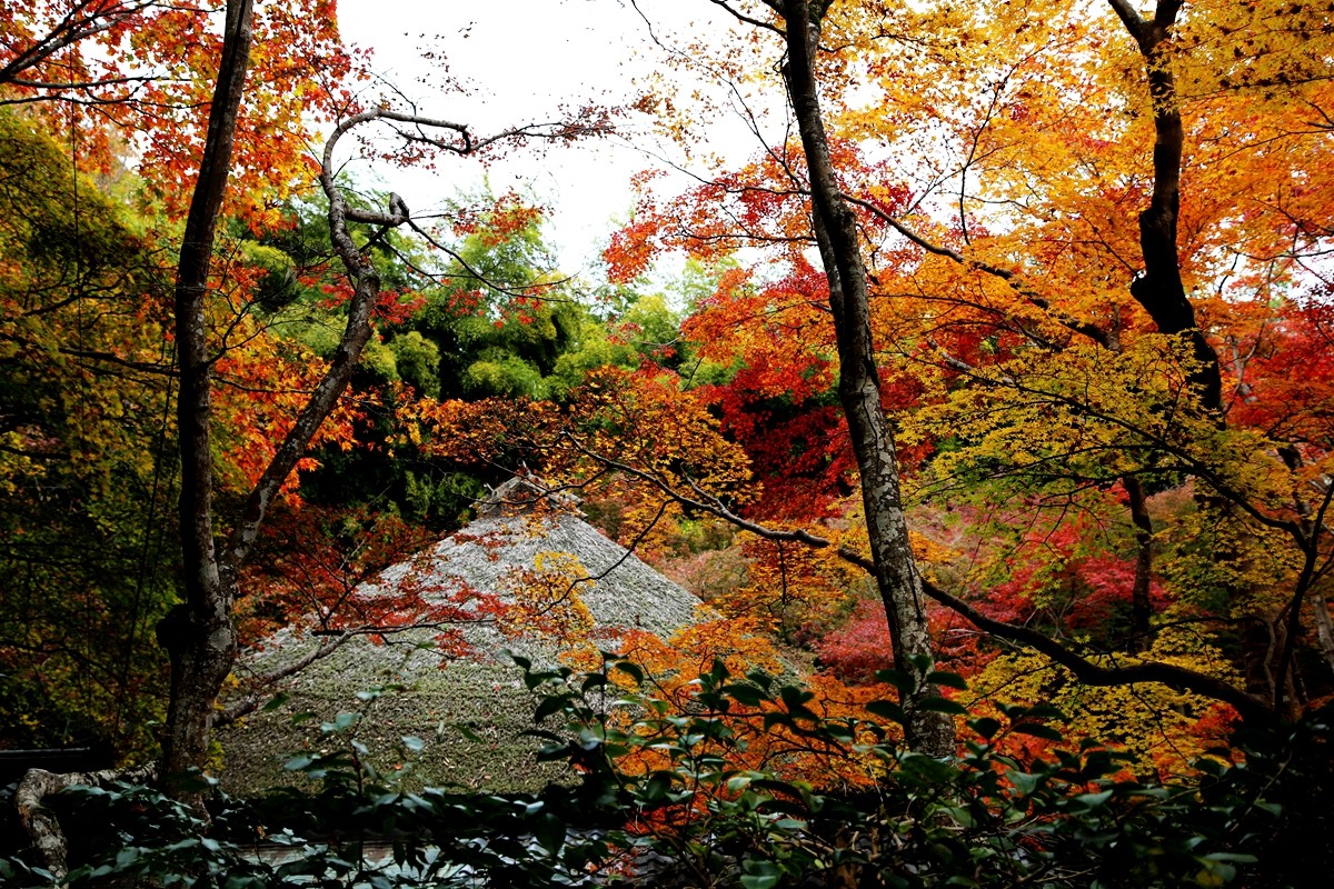 京都自助遊攻略