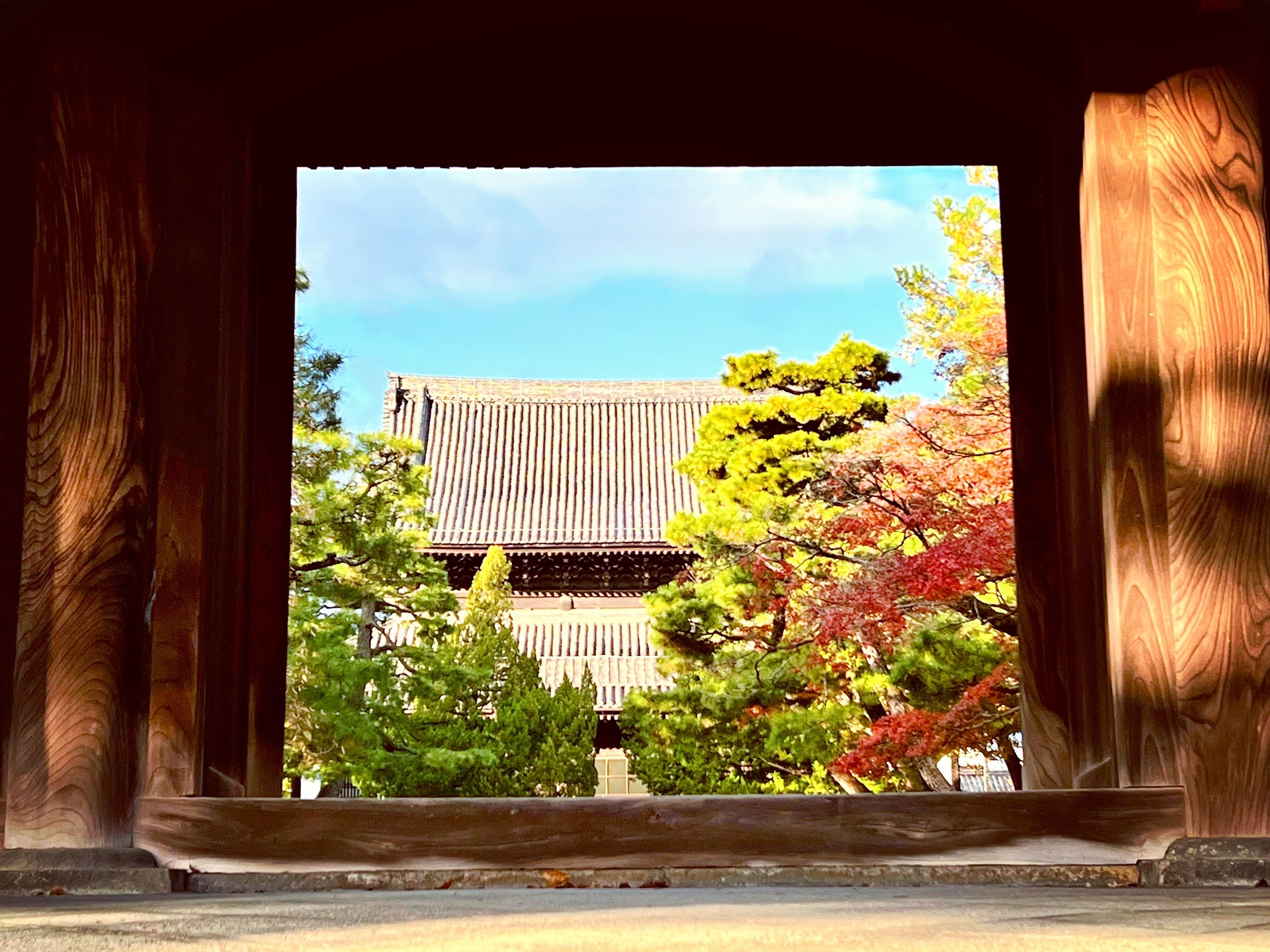 京都自助遊攻略