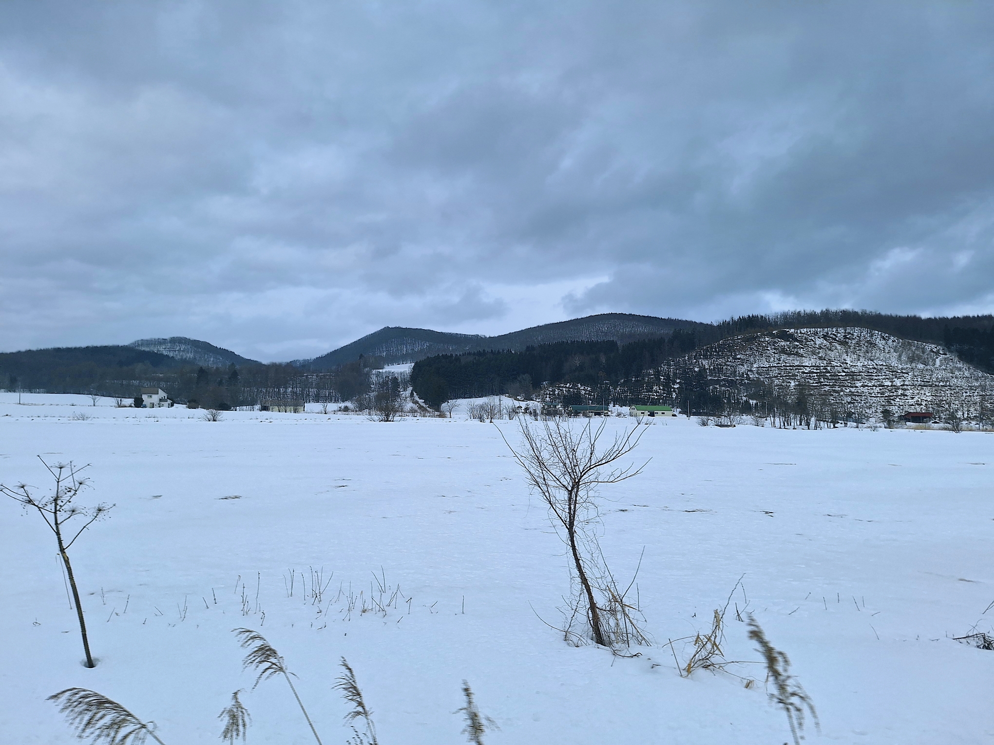 北海道自助遊攻略