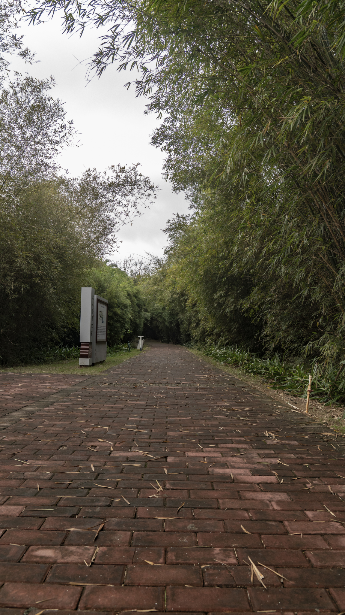 湛江市霞山区公园