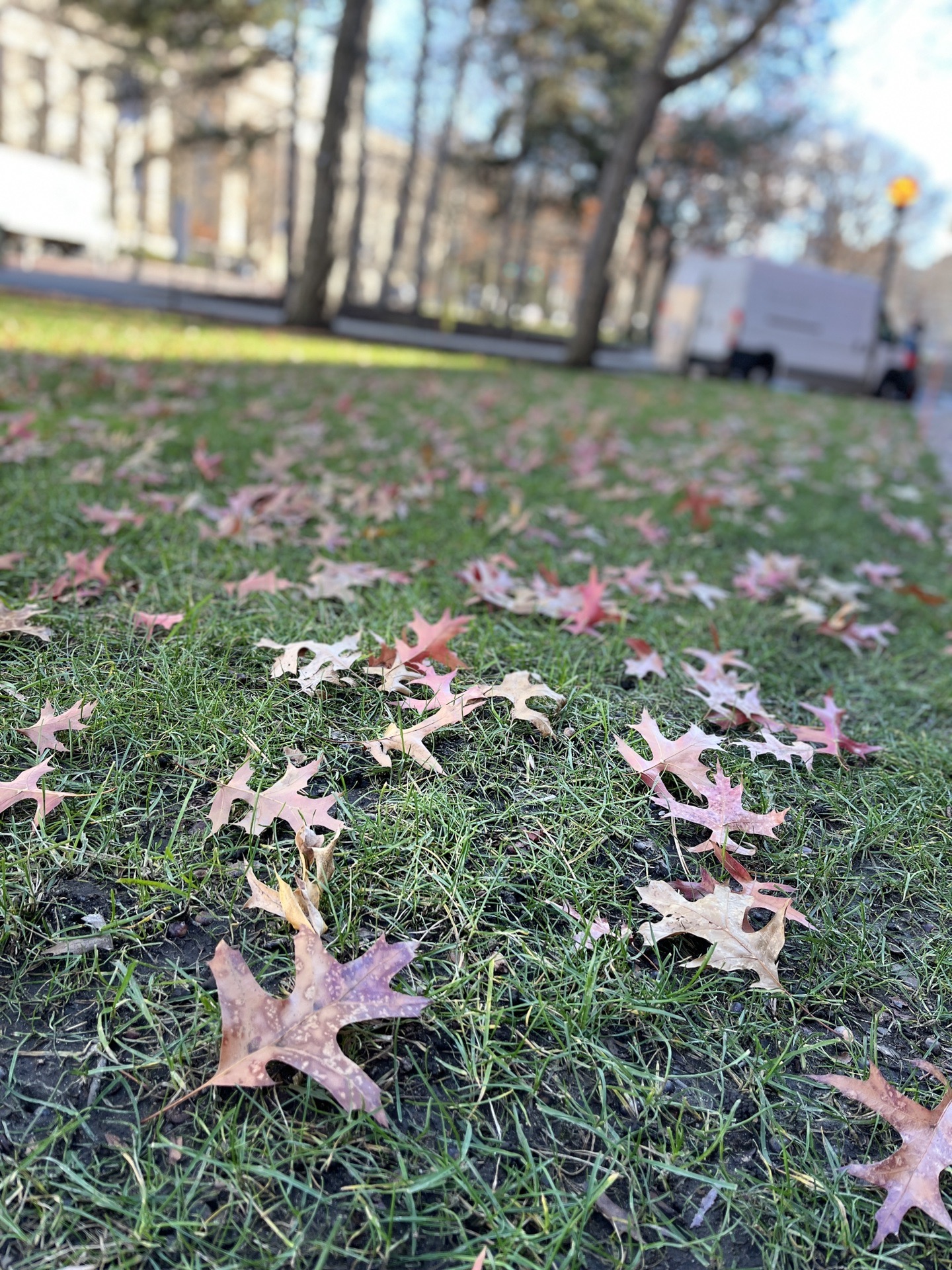 華盛頓自助遊攻略