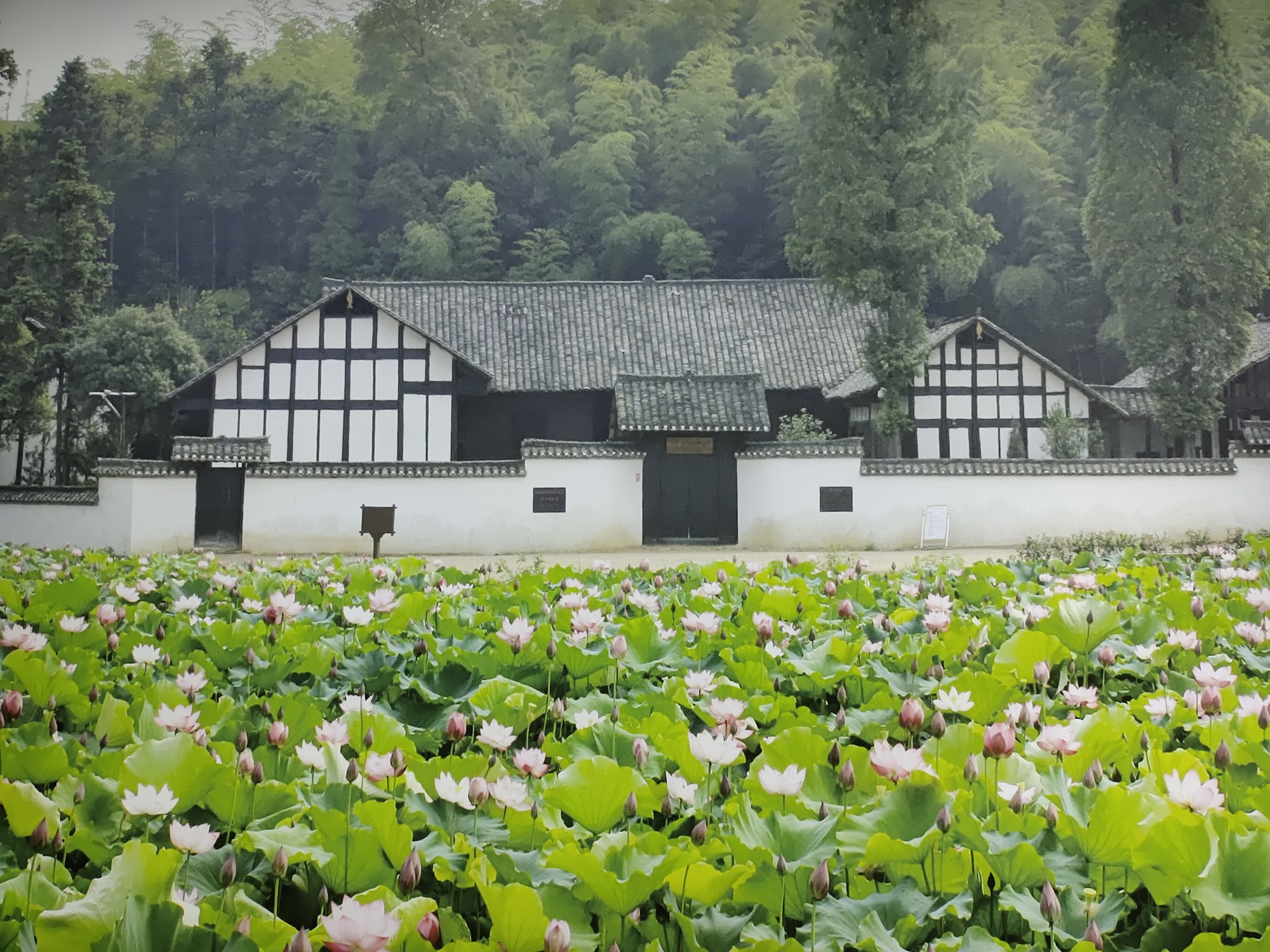 益阳山乡巨变第一村