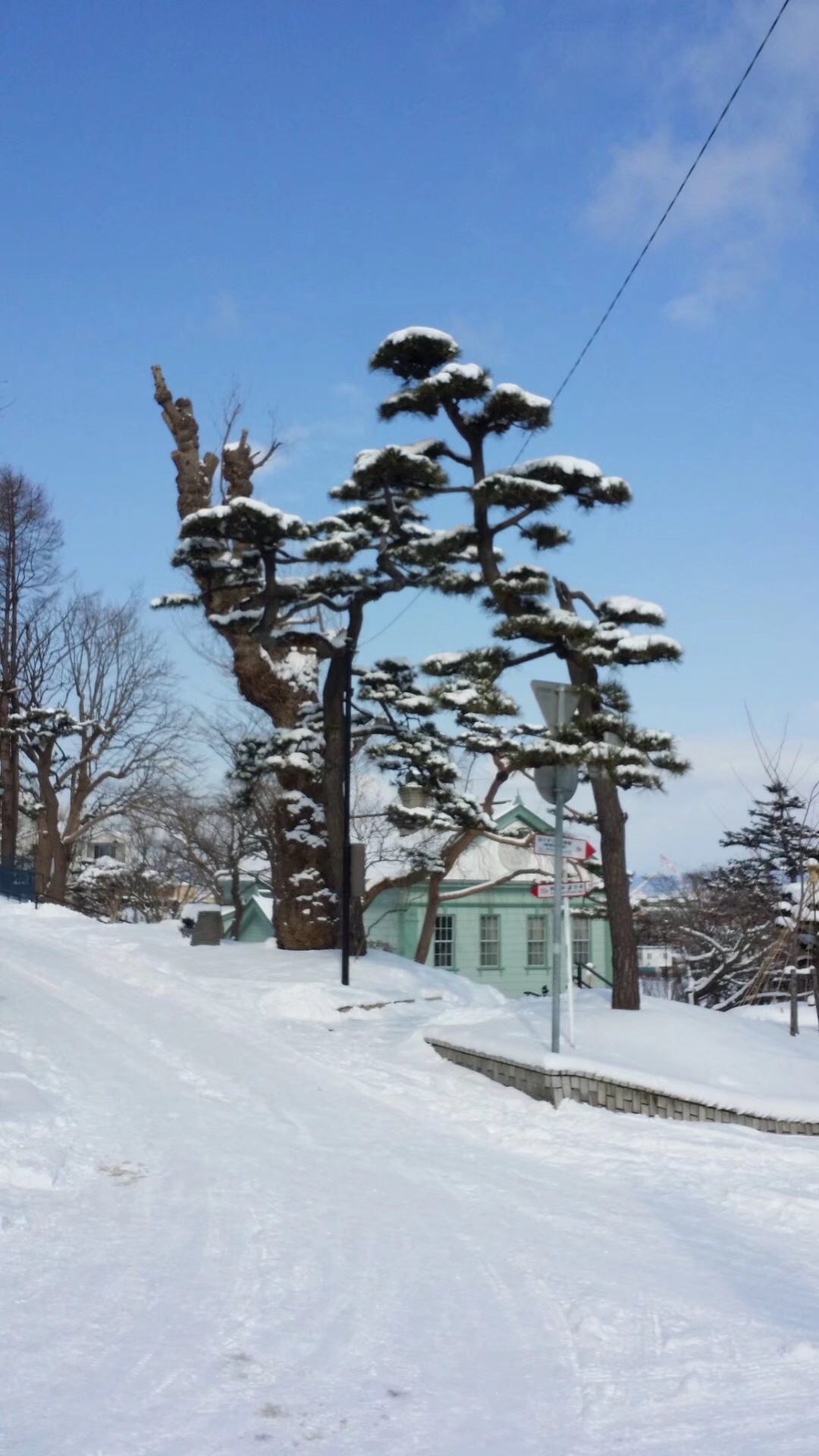 北海道自助遊攻略