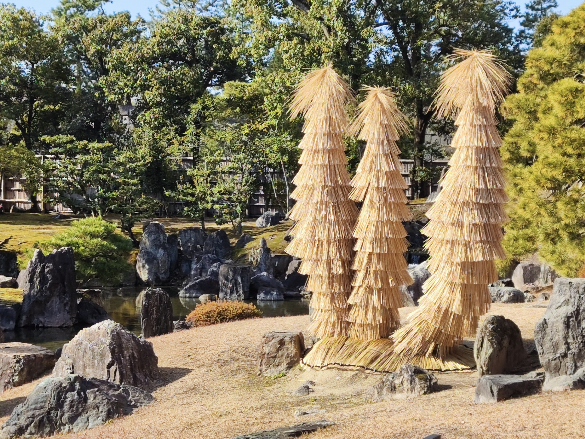 京都自助遊攻略