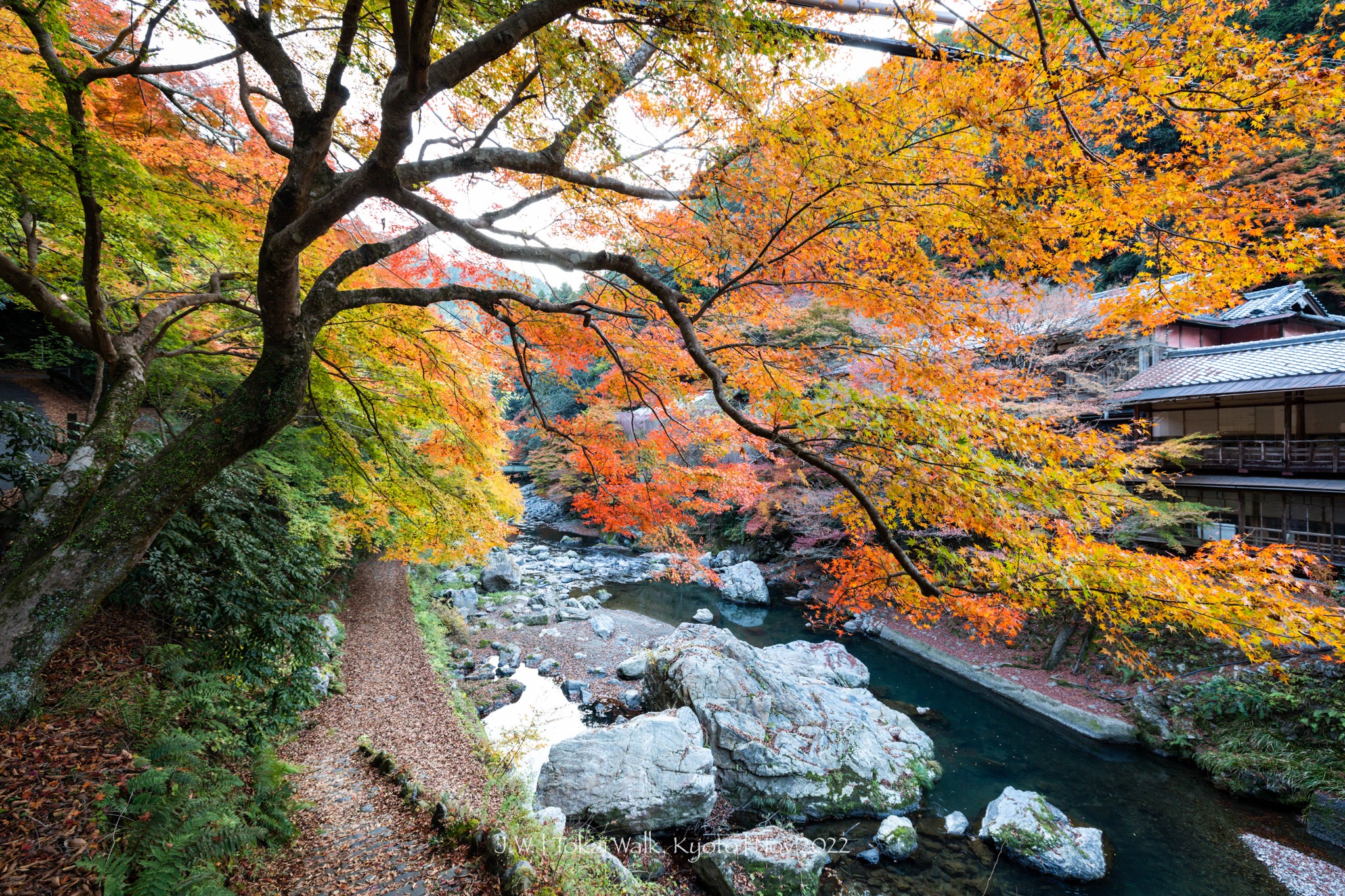 京都自助遊攻略