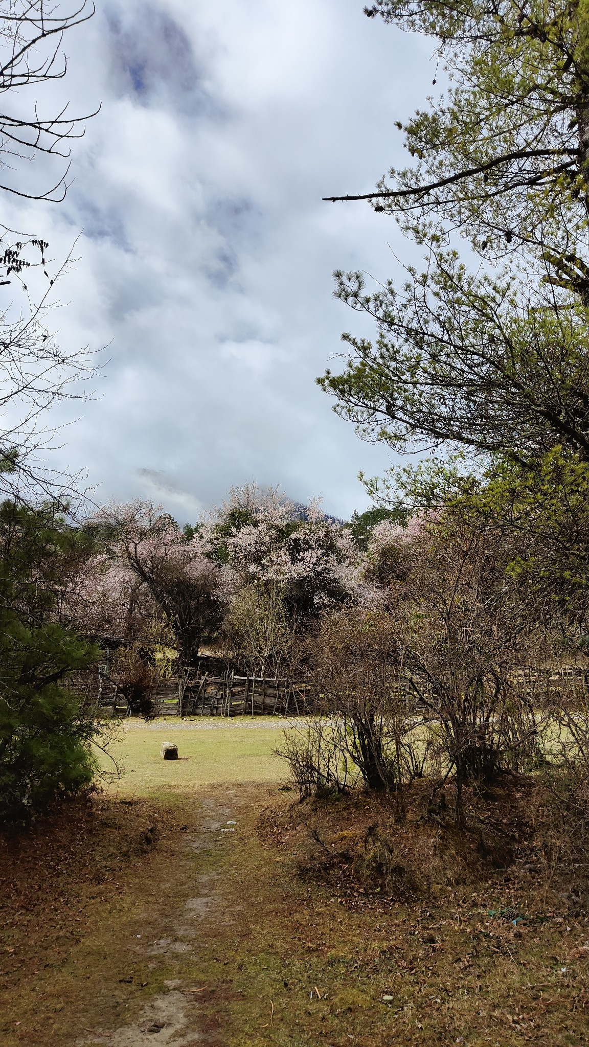 林芝自助遊攻略