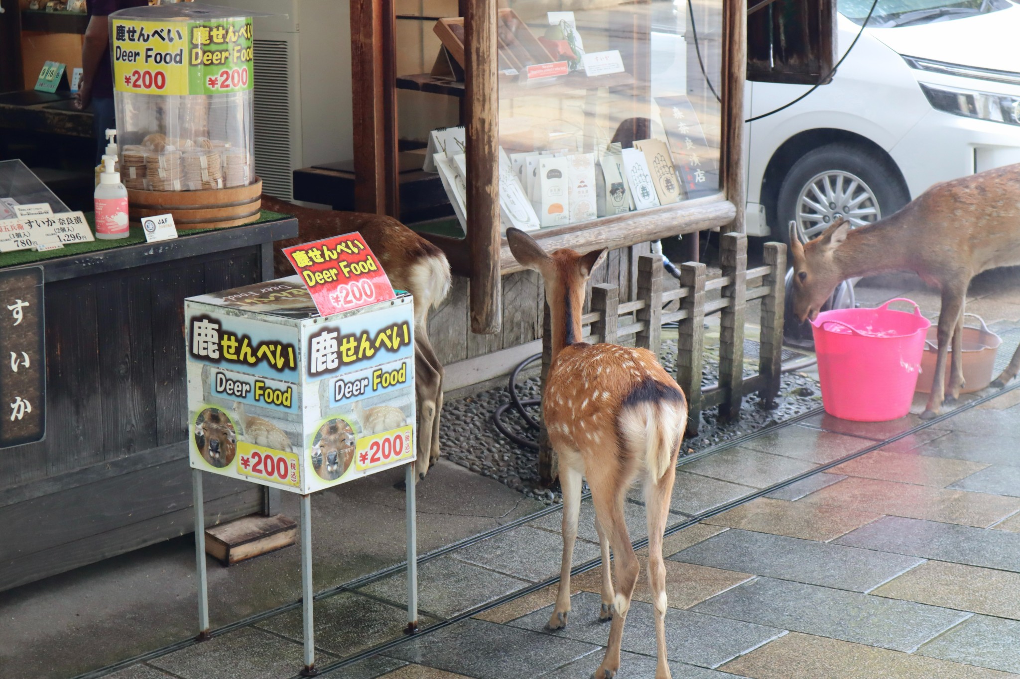 日本自助遊攻略