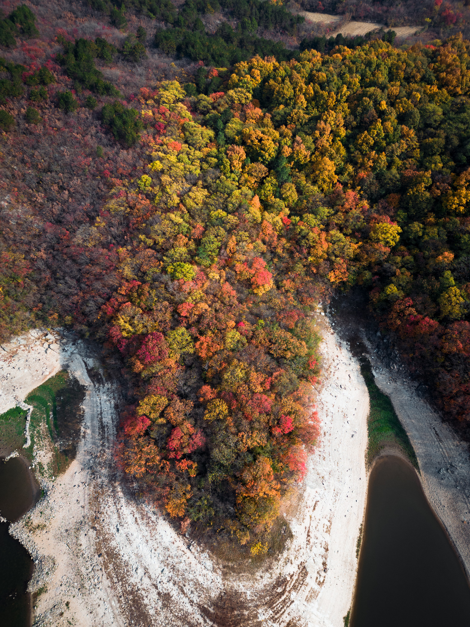 明代"南京太仆寺少卿"是管啥的?来明光黄寨牧场看看,羡慕坏了