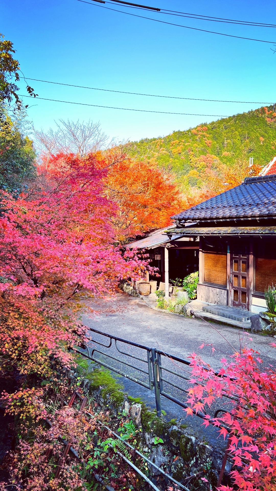 京都自助遊攻略