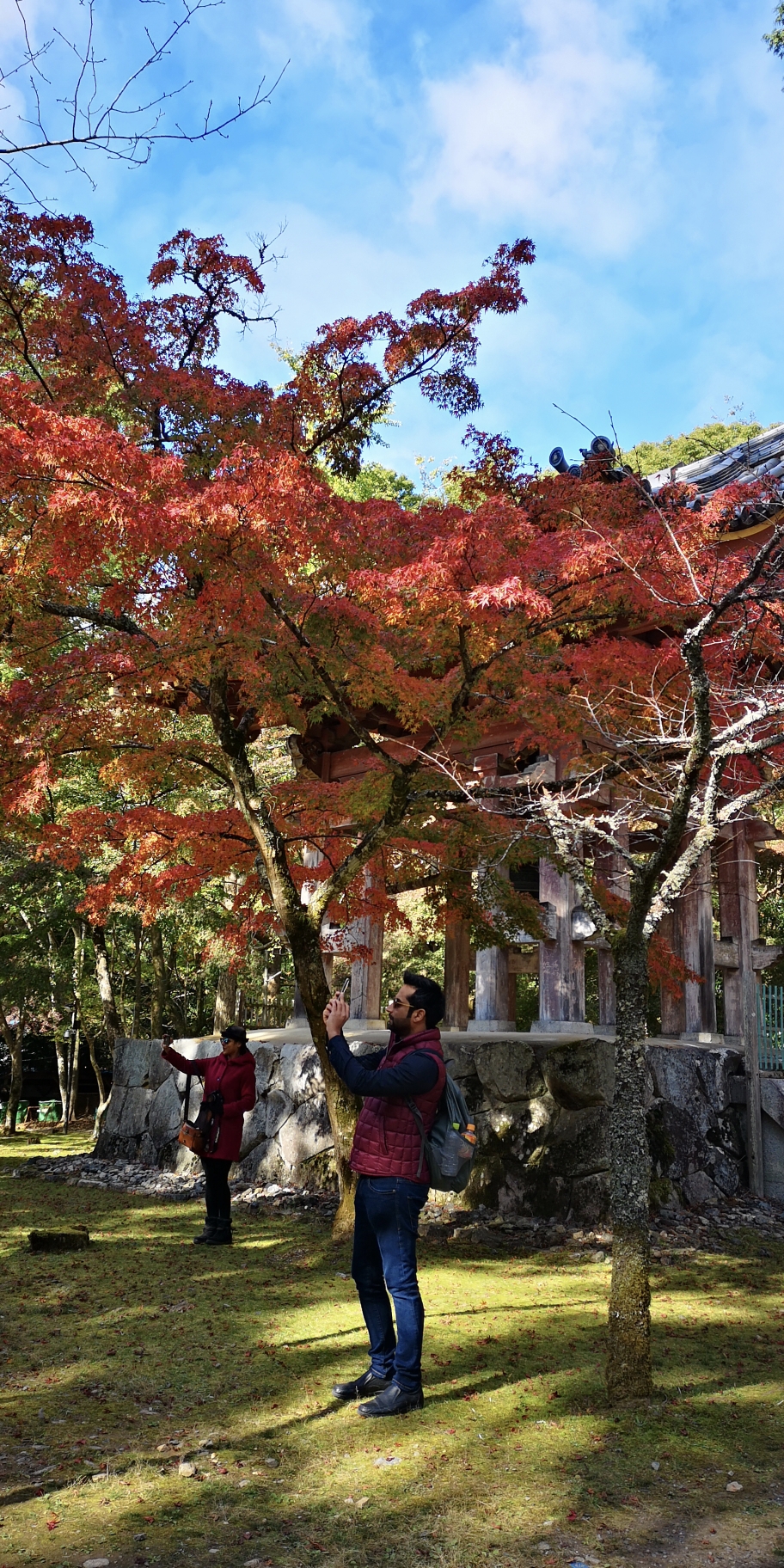 京都自助遊攻略