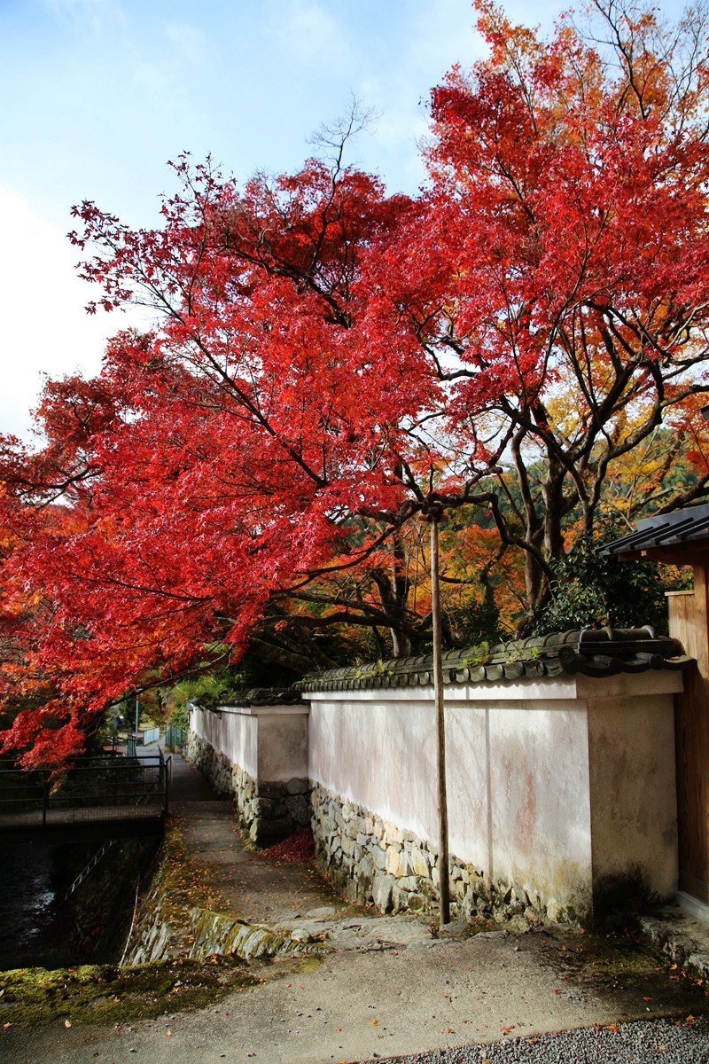 京都自助遊攻略