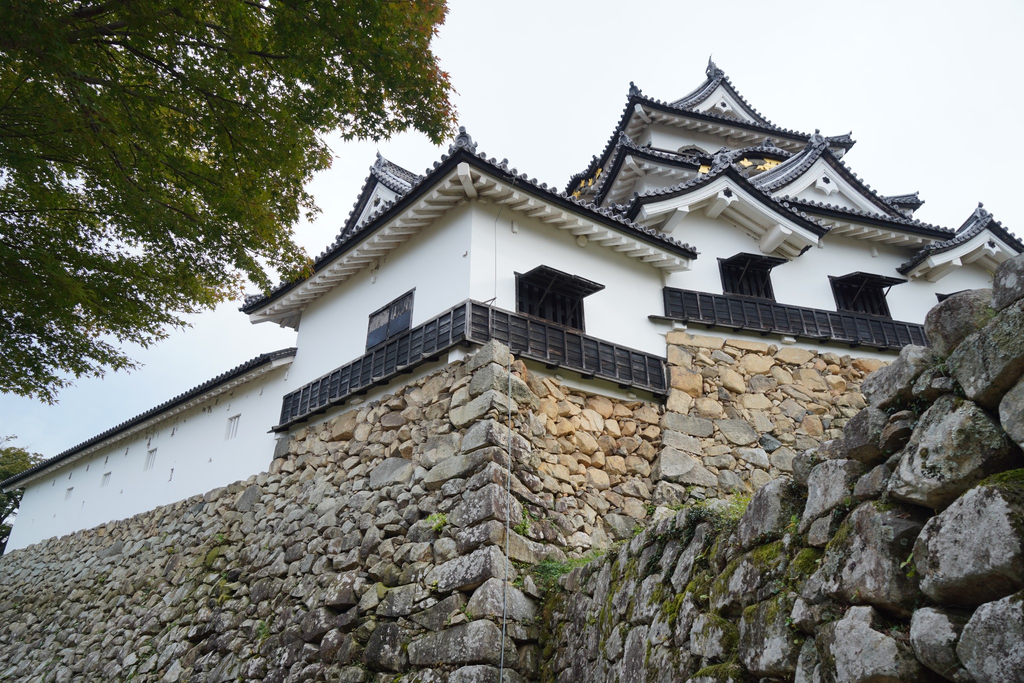 京都自助遊攻略