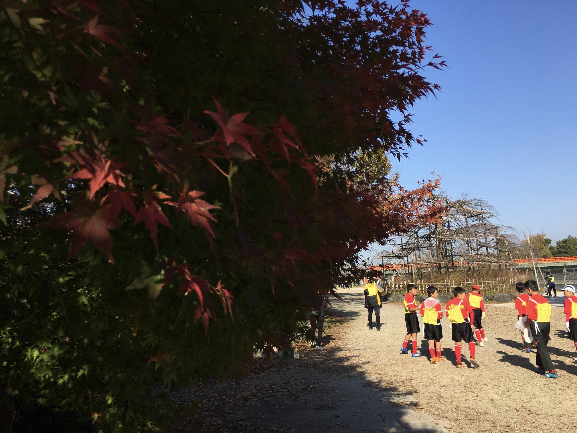 京都自助遊攻略