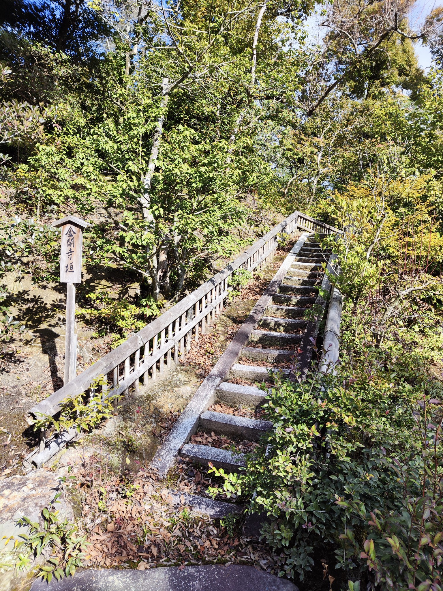 京都自助遊攻略