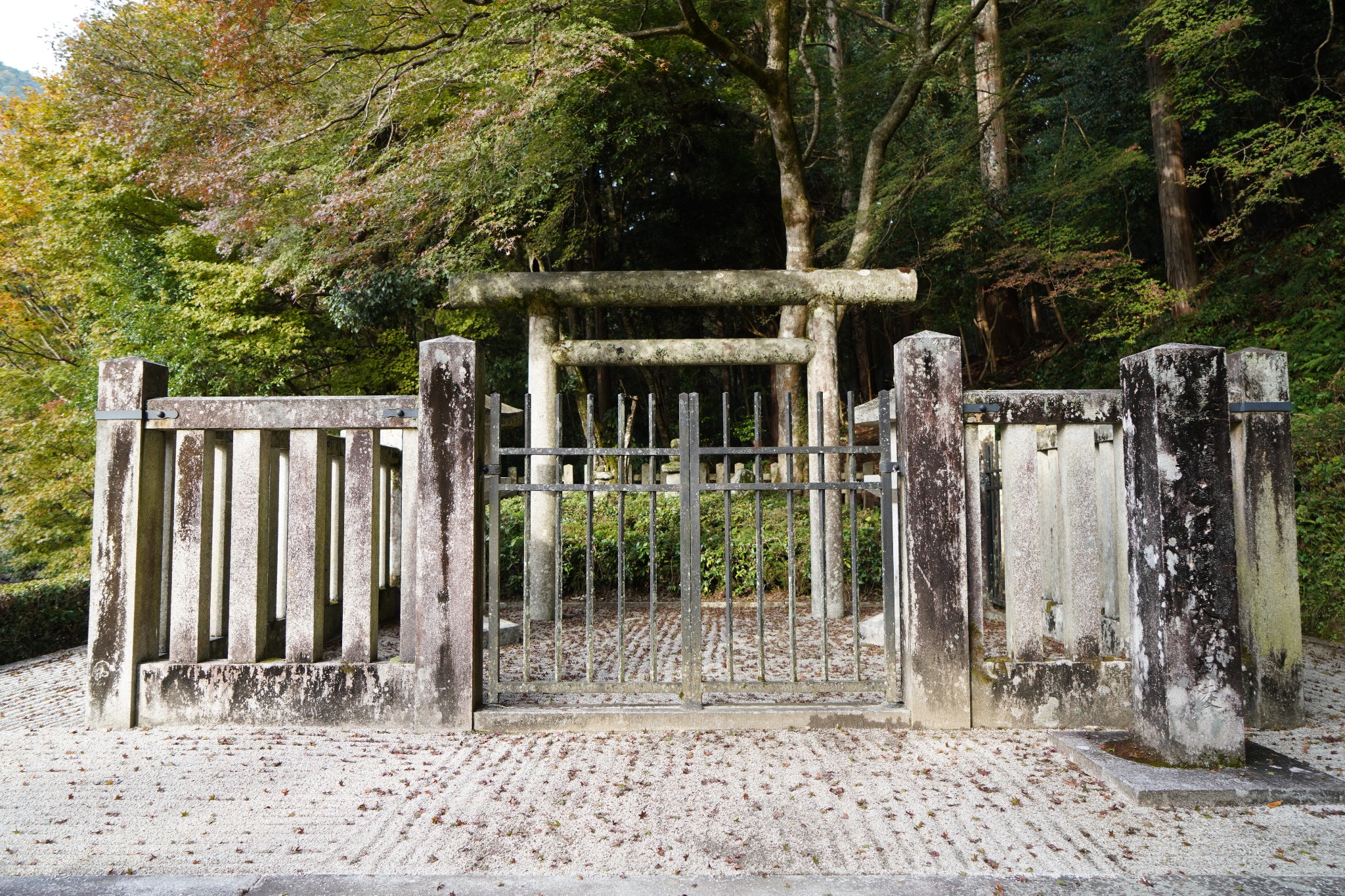 京都自助遊攻略