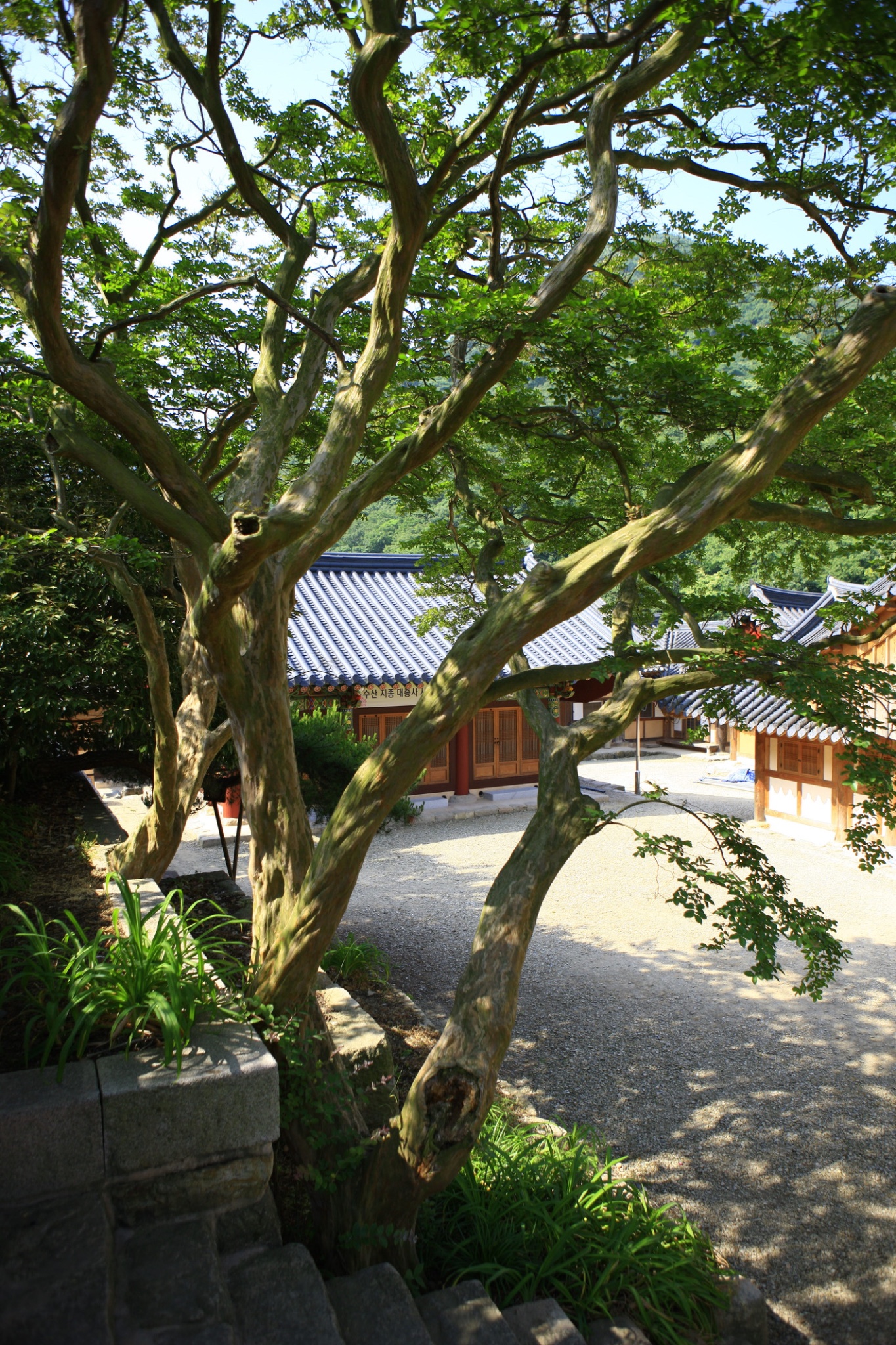 逃离城市净化心灵韩国全罗南道寺庙寄宿攻略