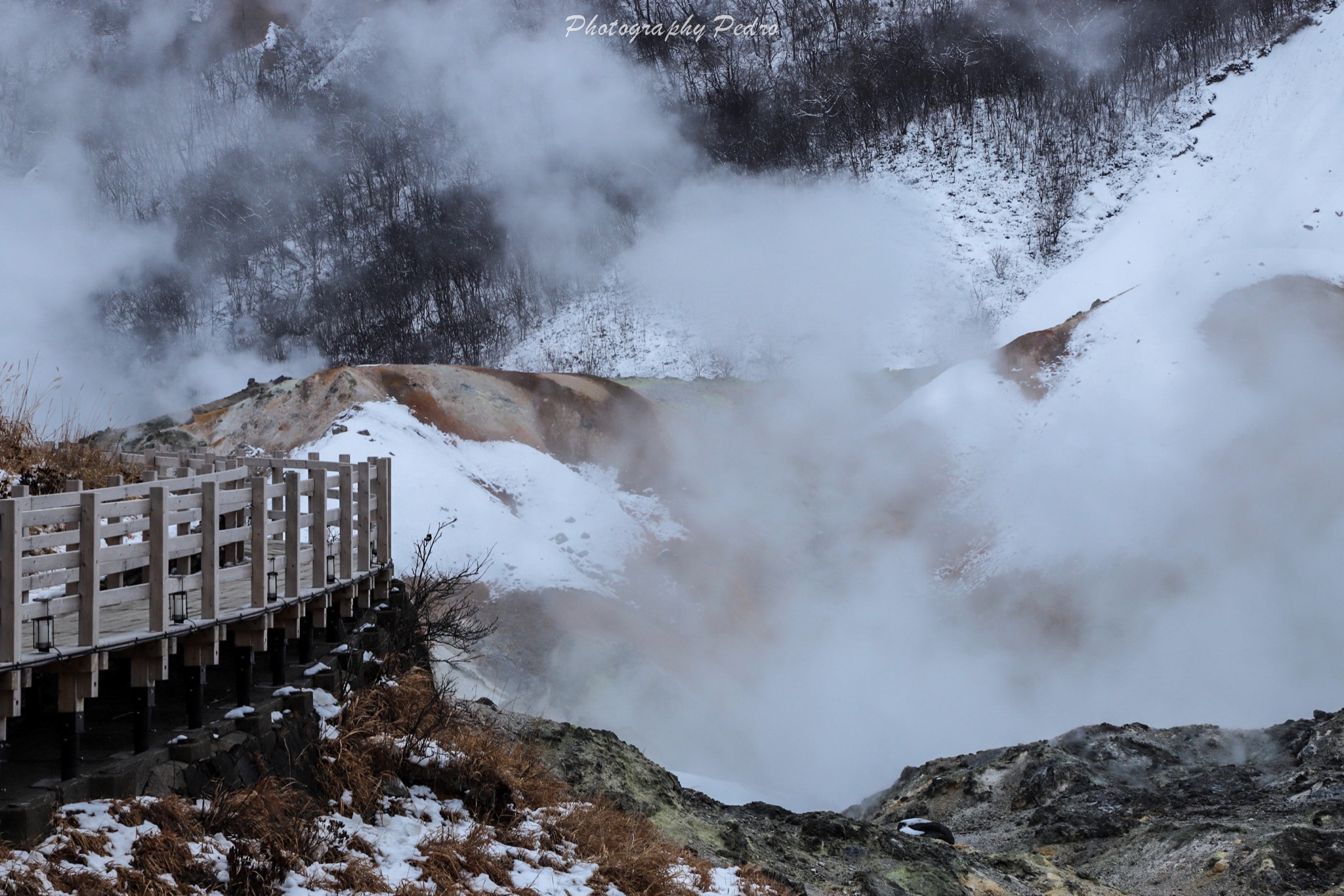 北海道自助遊攻略