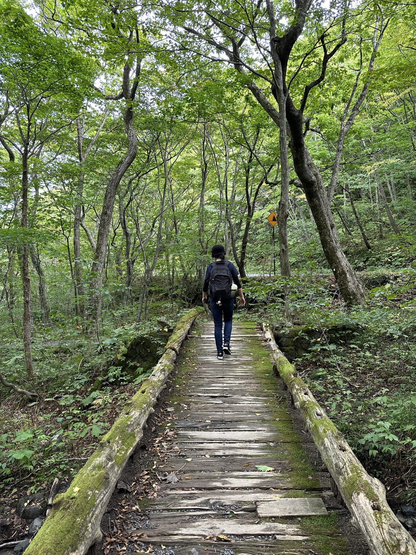 青森縣自助遊攻略