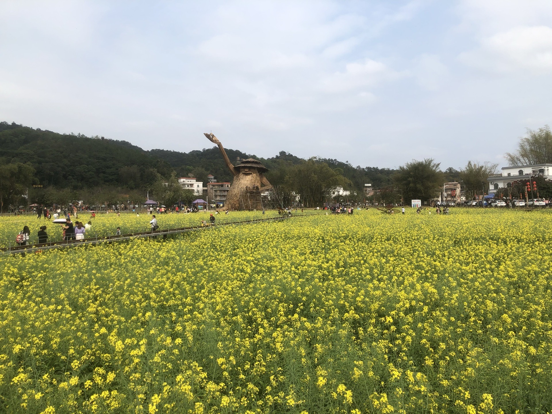 花都梯面油菜花节18公里徒步,广州自助游攻略
